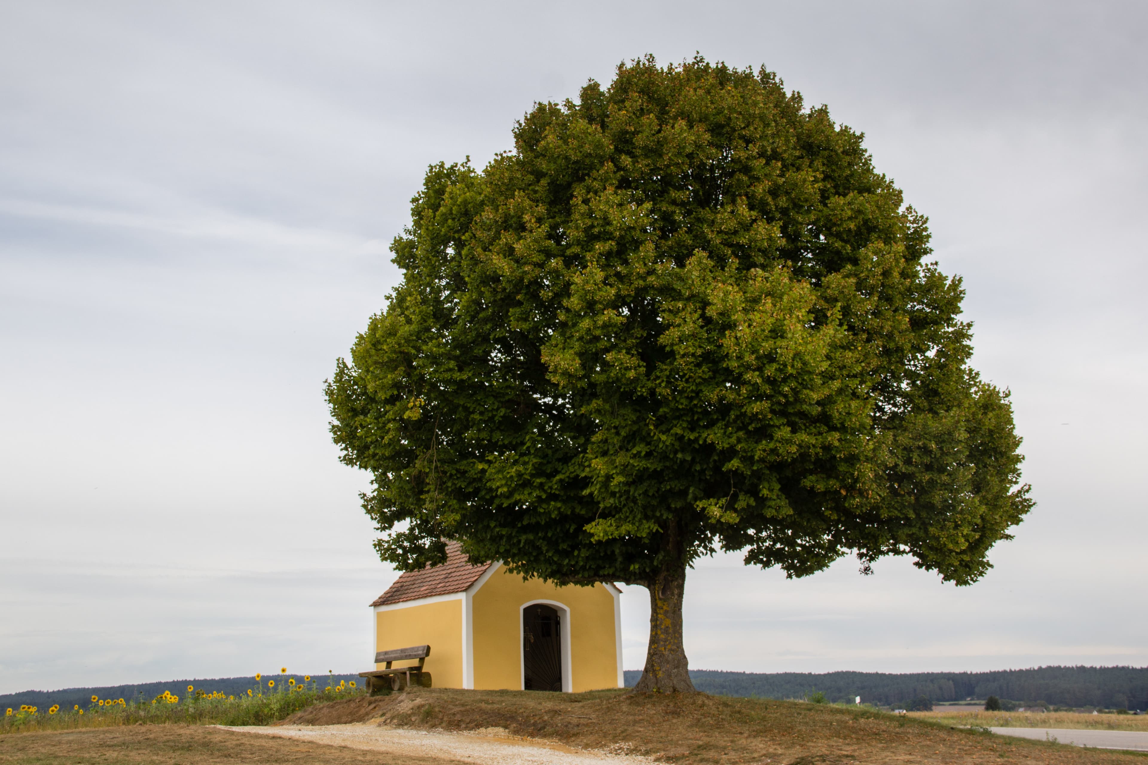 Maulkapelle