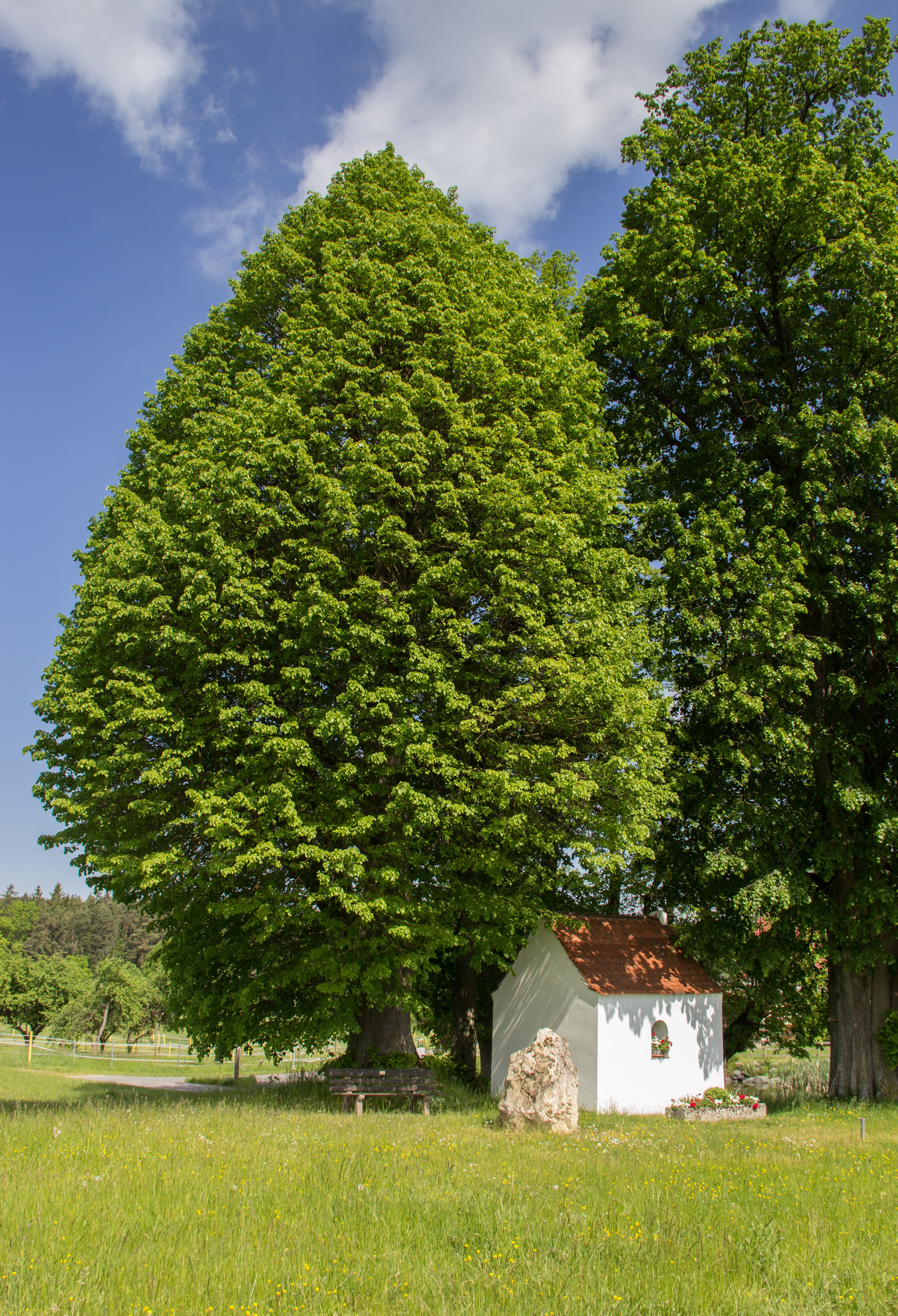 Marienkapelle