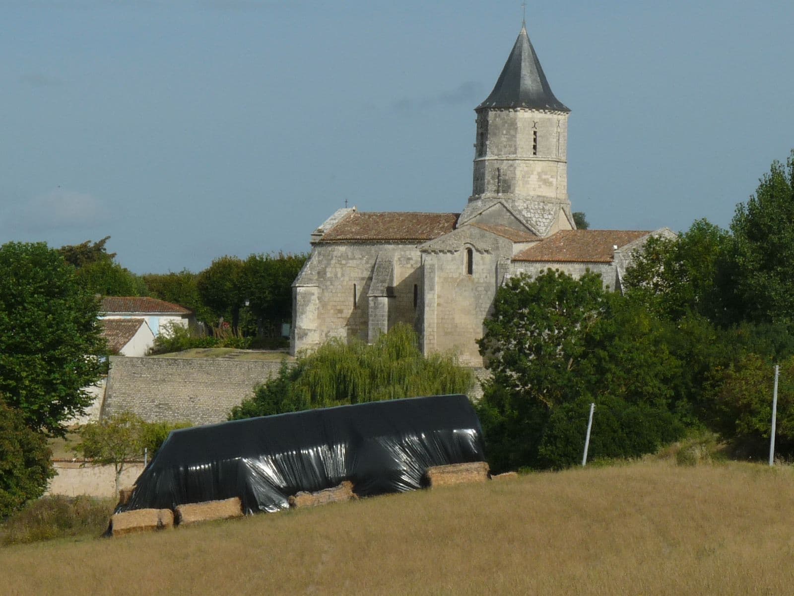 Église Saint-Martin (Arces)