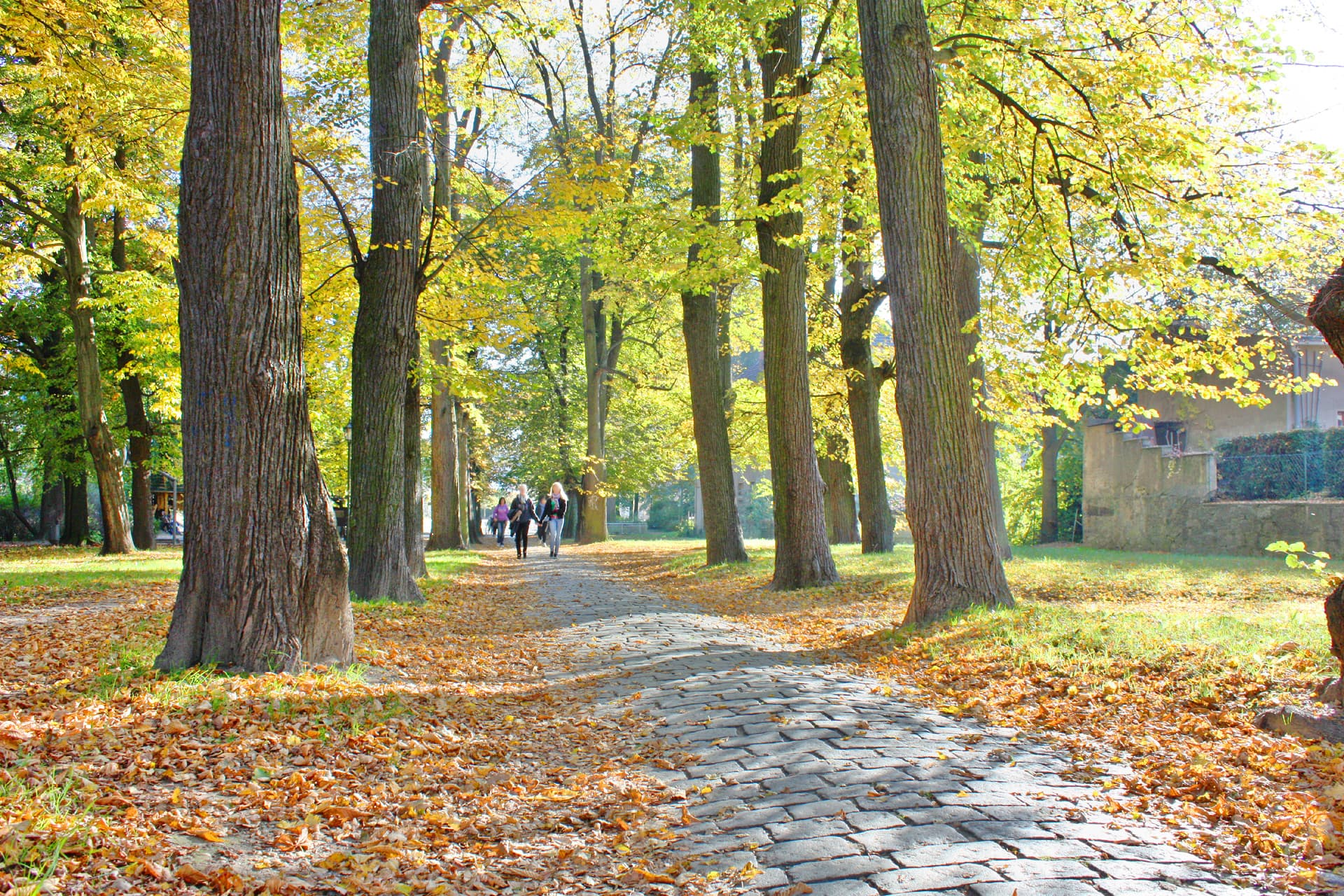 Schillerpark