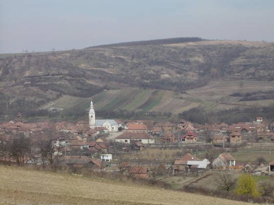 Reformed Church in Borla