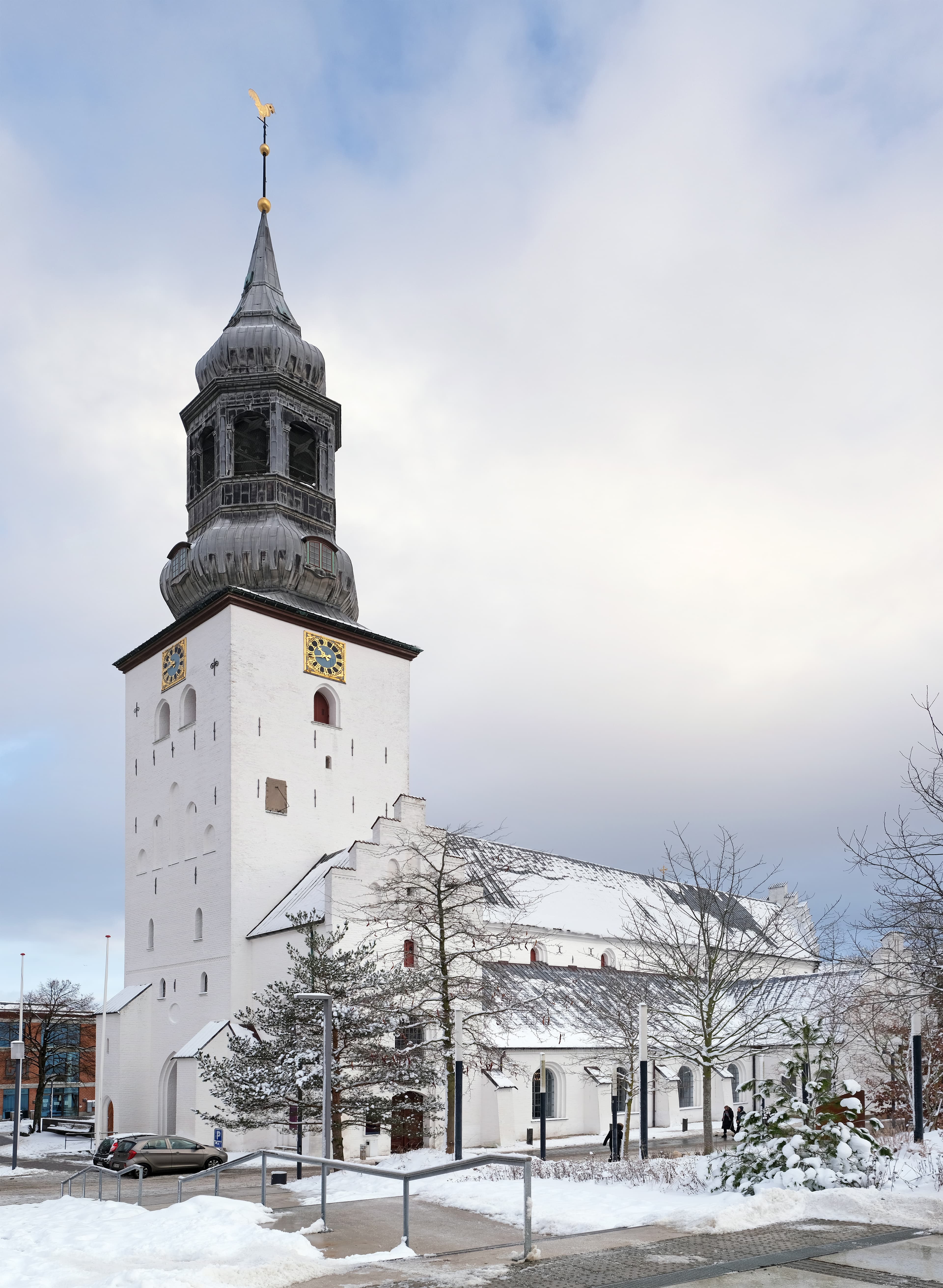 Budolfi Church