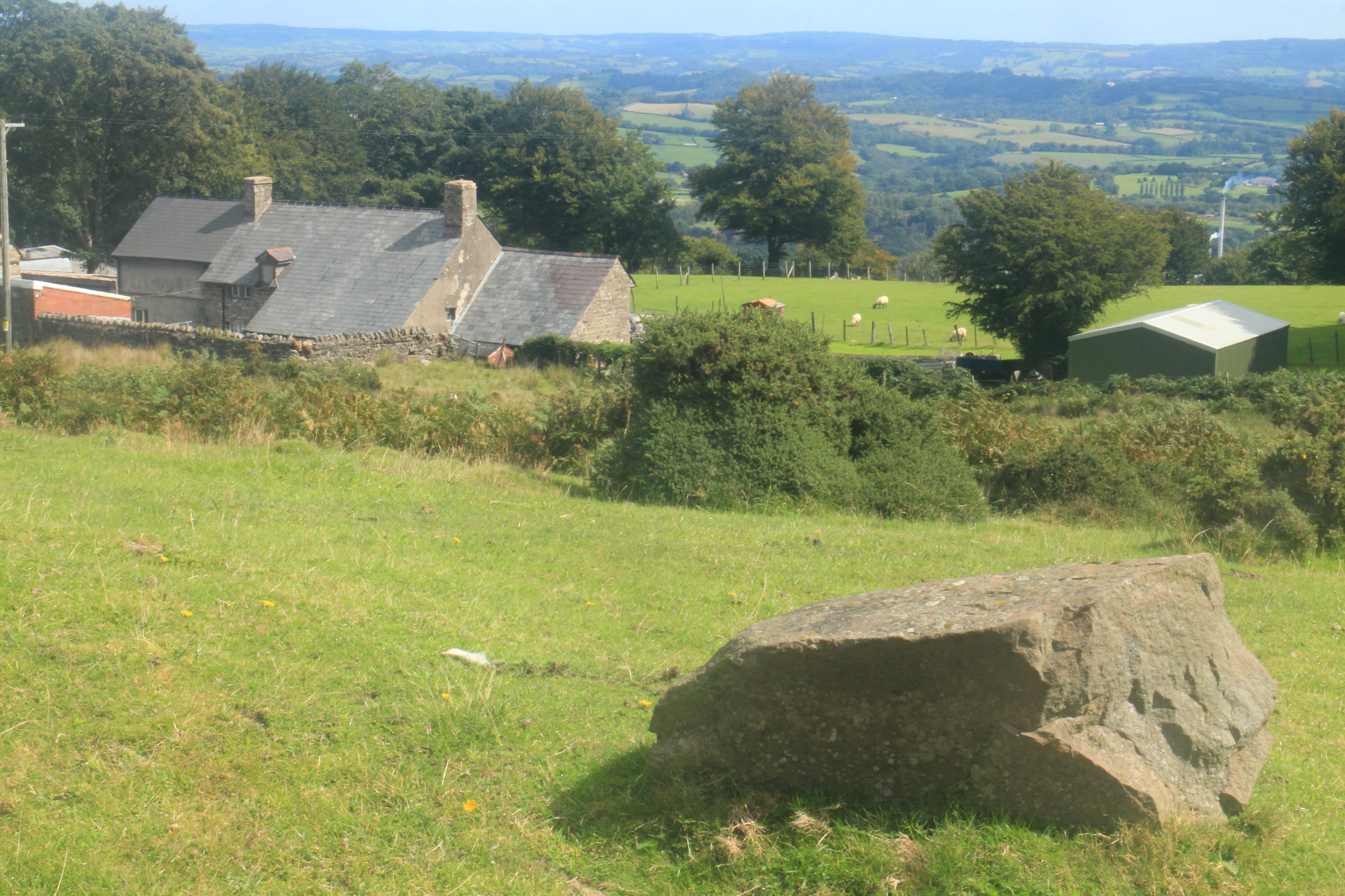 Capel-llwyd
