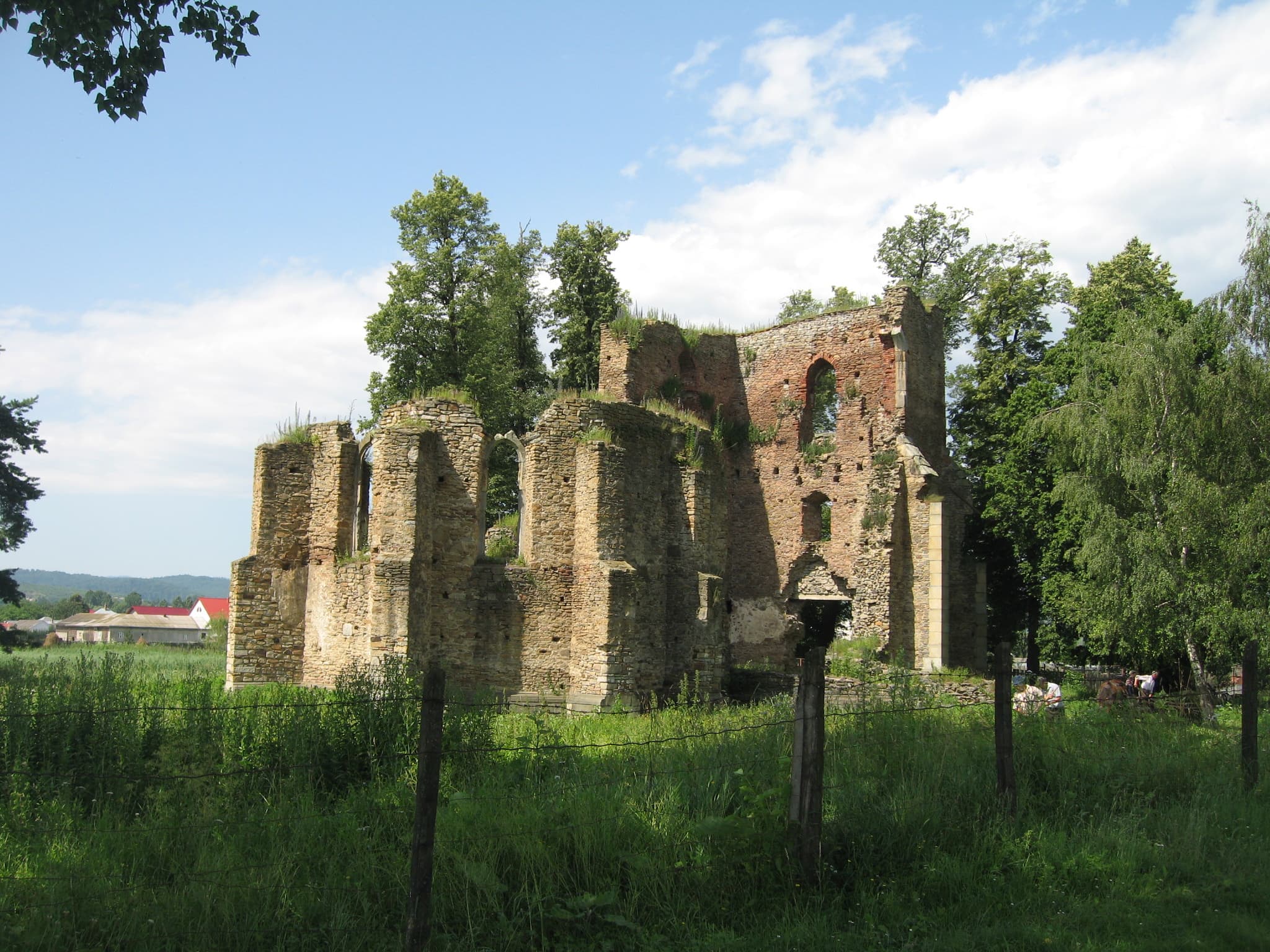 Roman Catholic cathedral in Baia, Suceava