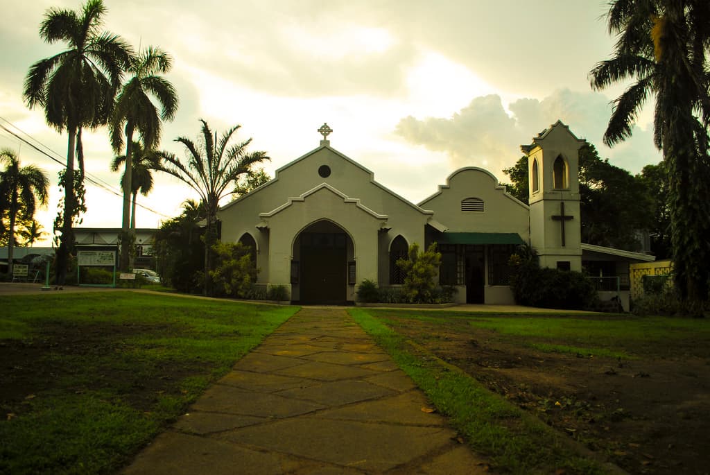 Church Among the Palms