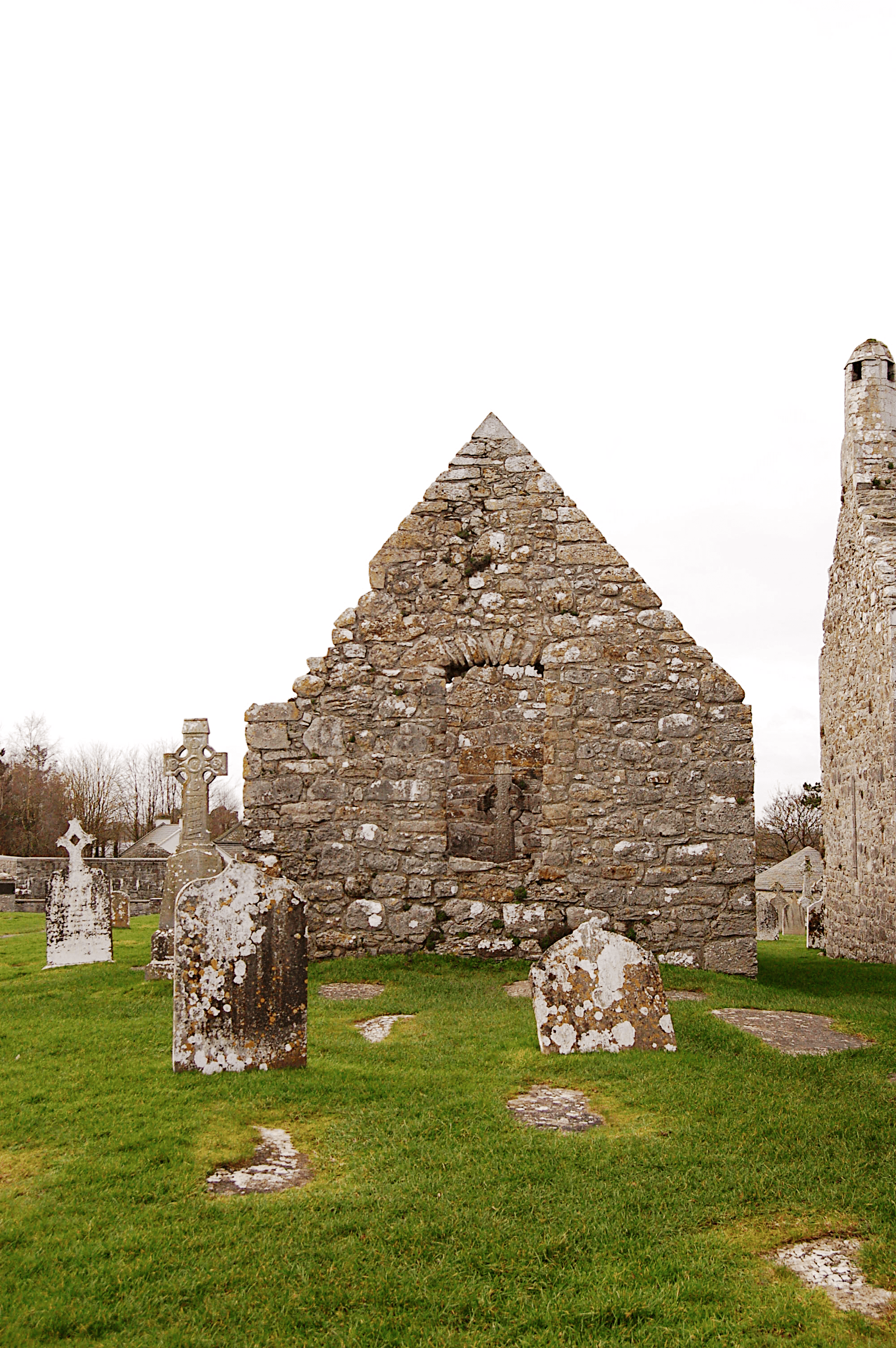 Templeree