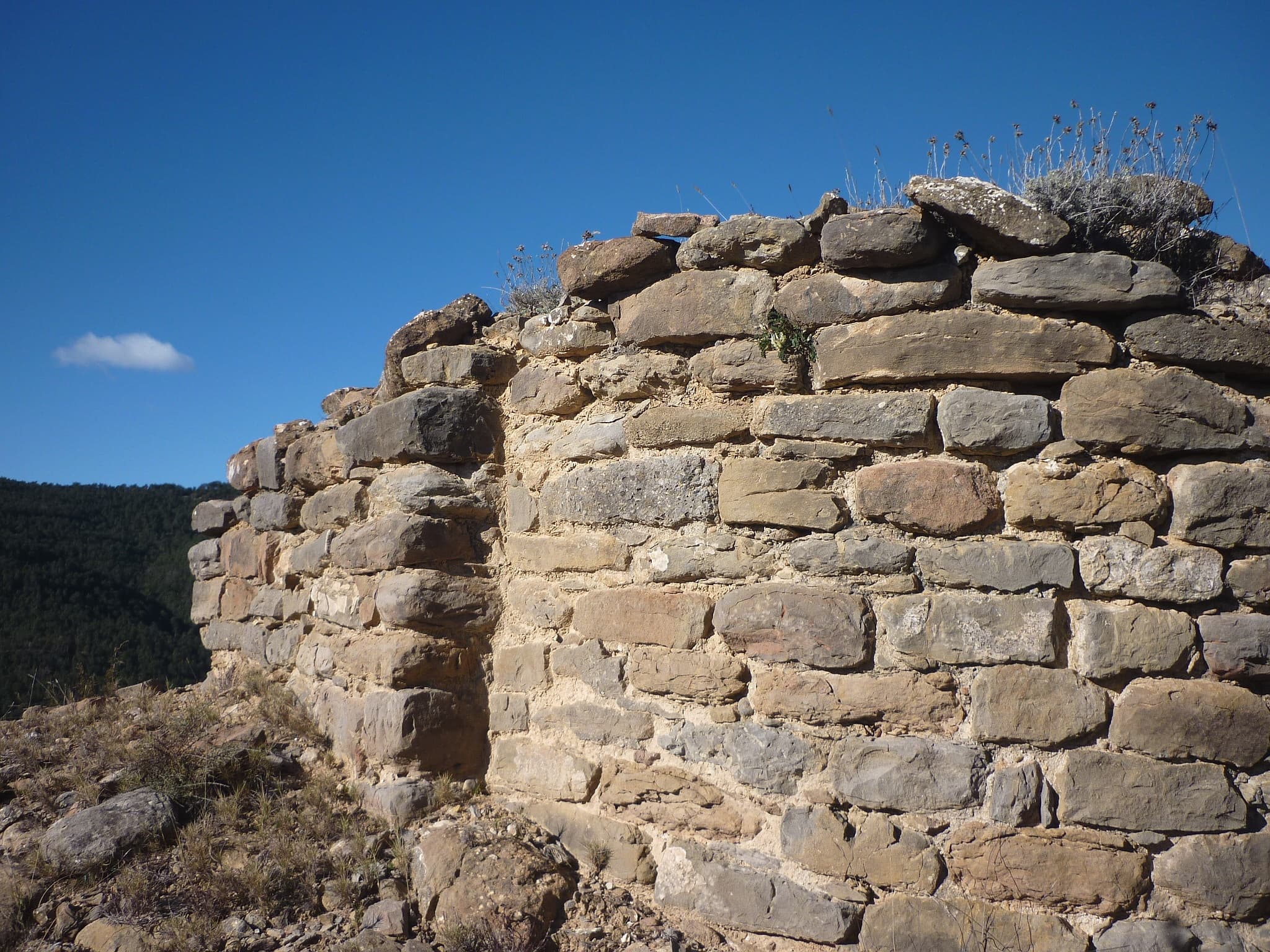 Sant Jaume de Torrenteller