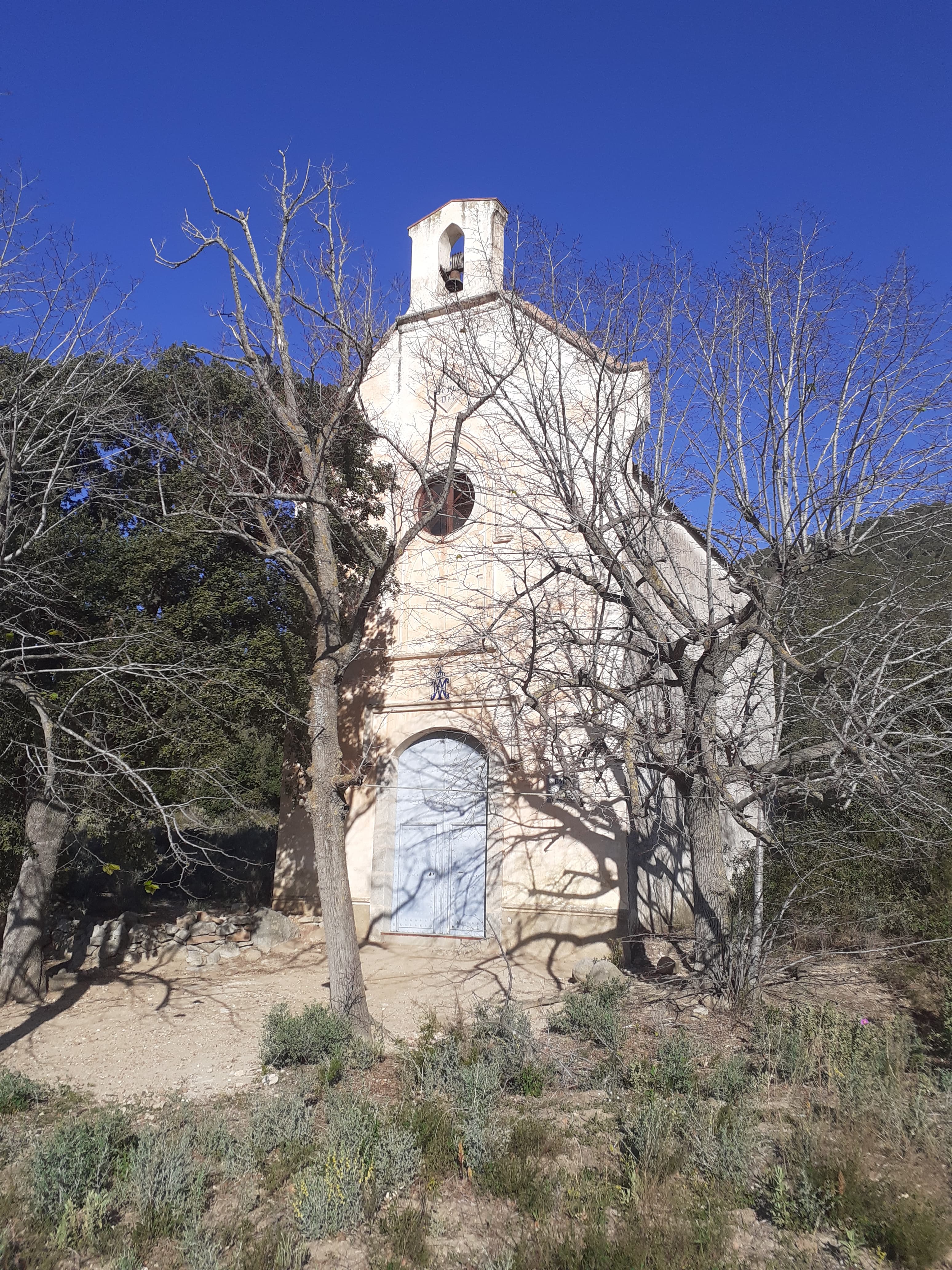 la Immaculada