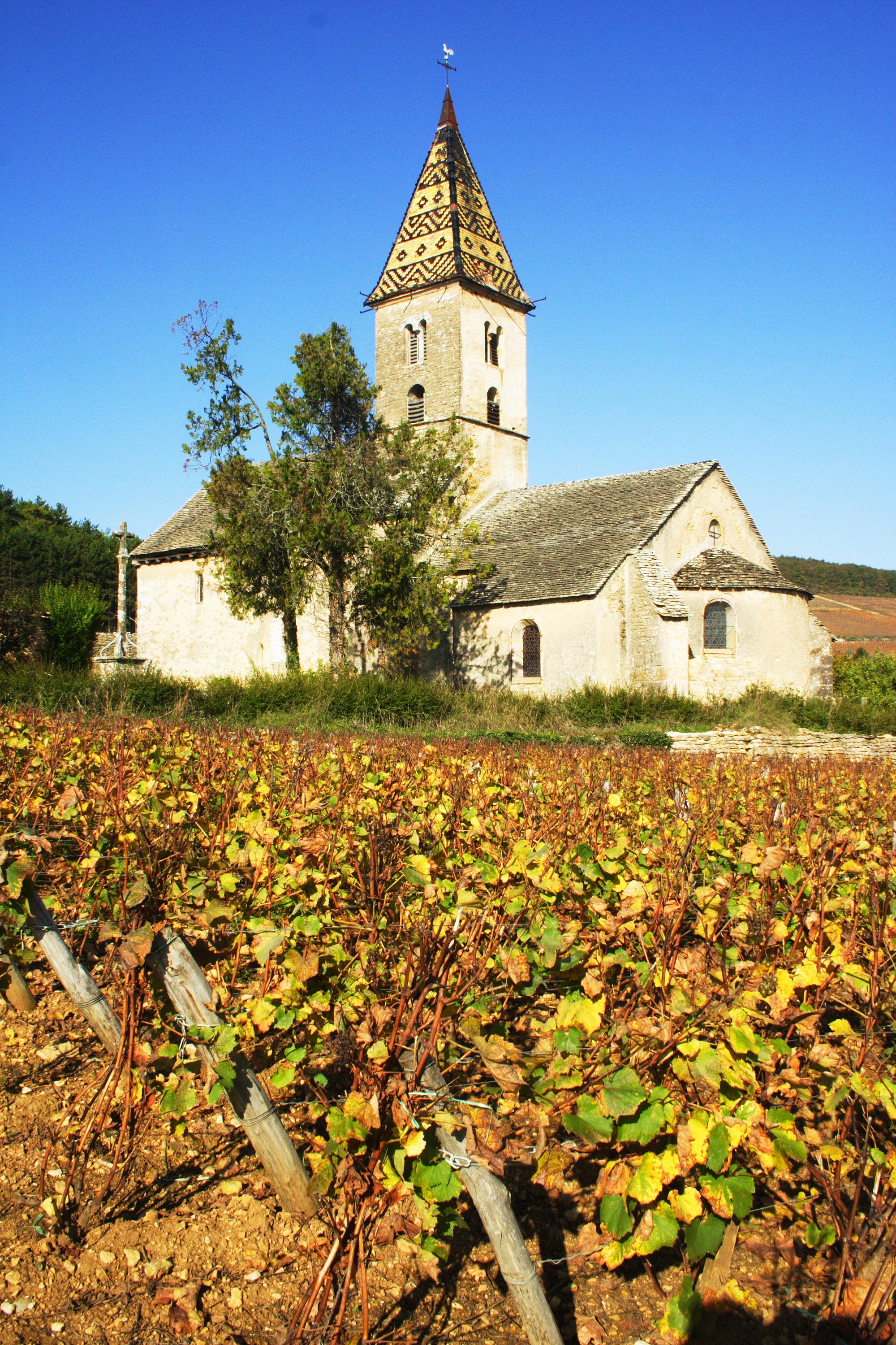 Église Saint-Antoine de Fixey