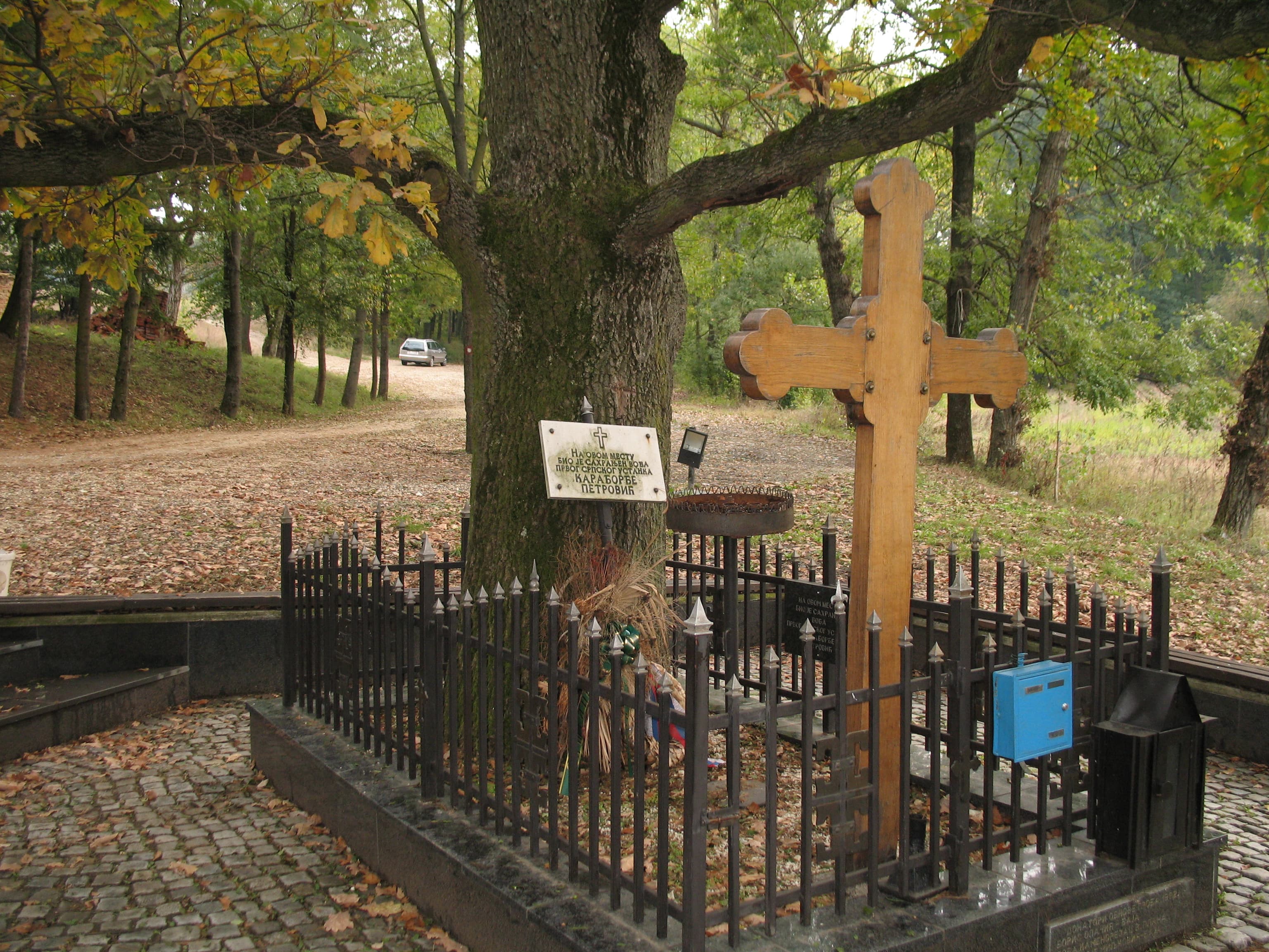 Radovanjski Lug