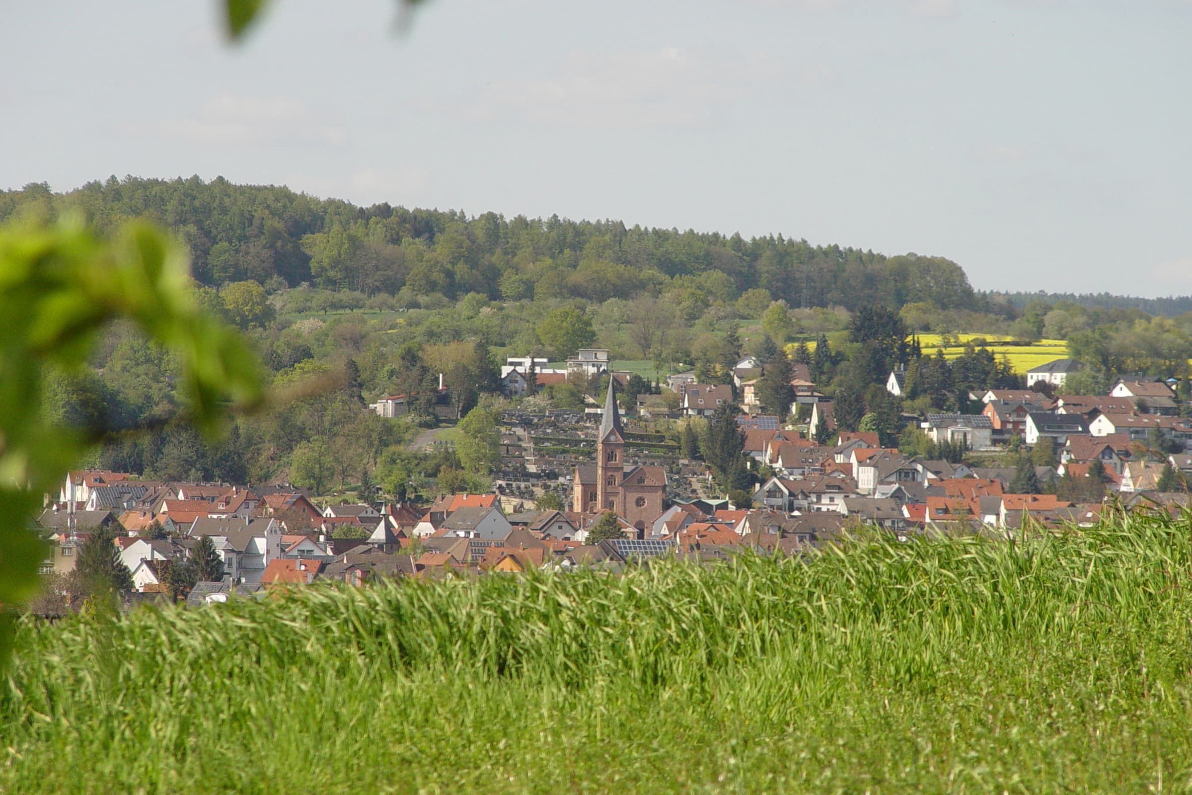 Pfarrkirche