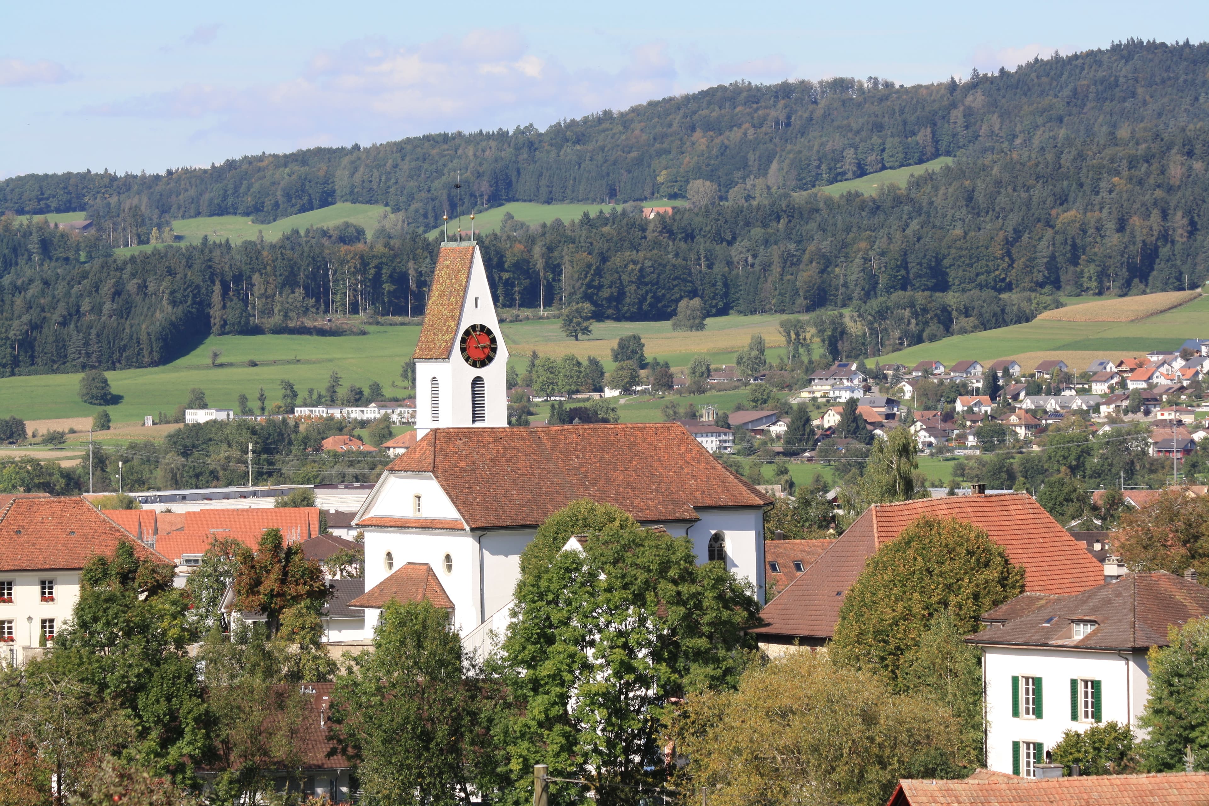 Evangelical-reformed church