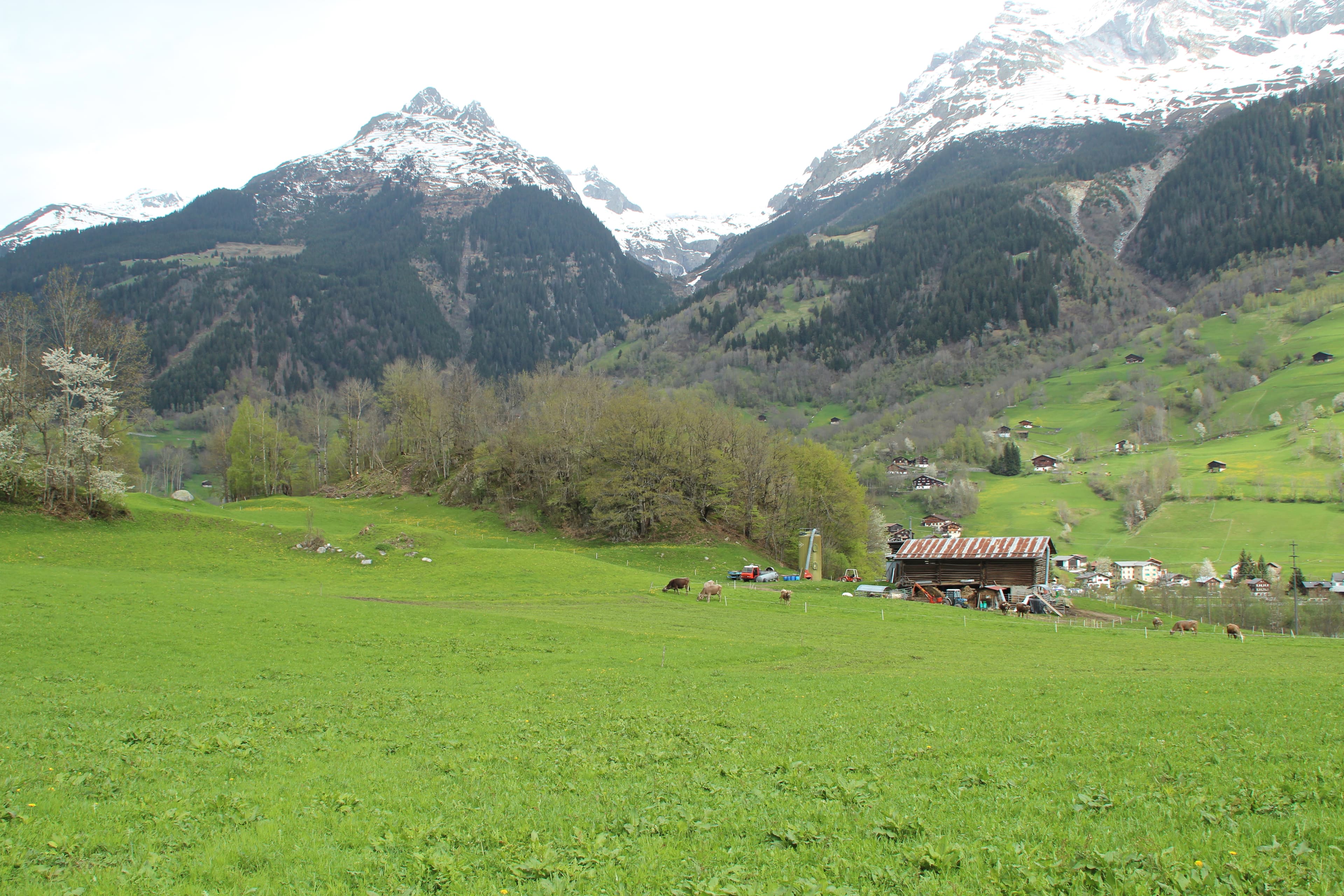 Grepault