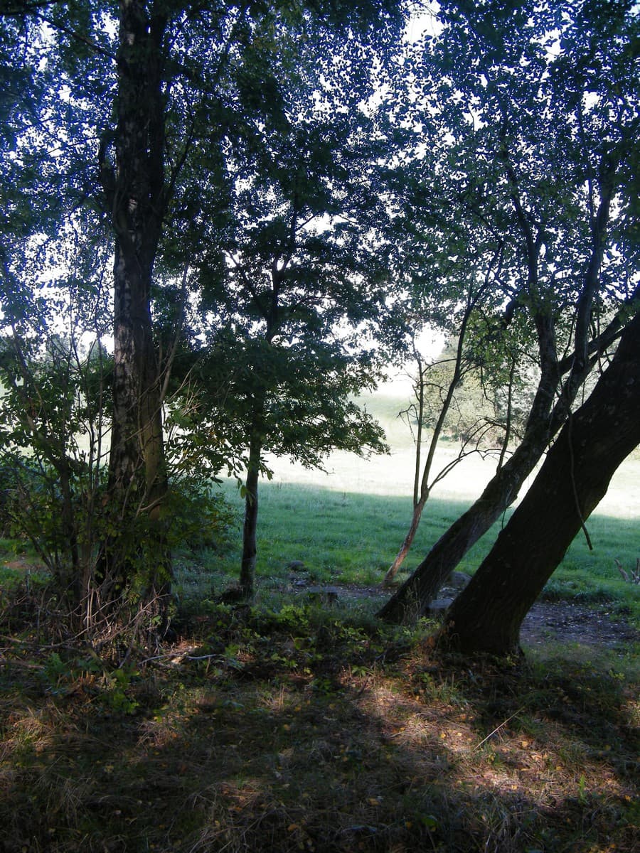 Cemetery Nová Víska