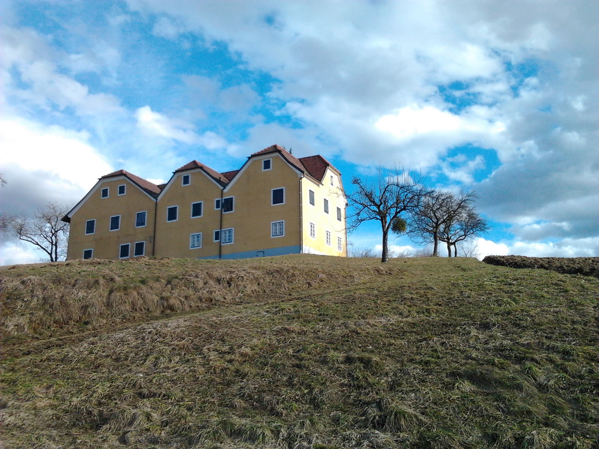 Hallerschloss