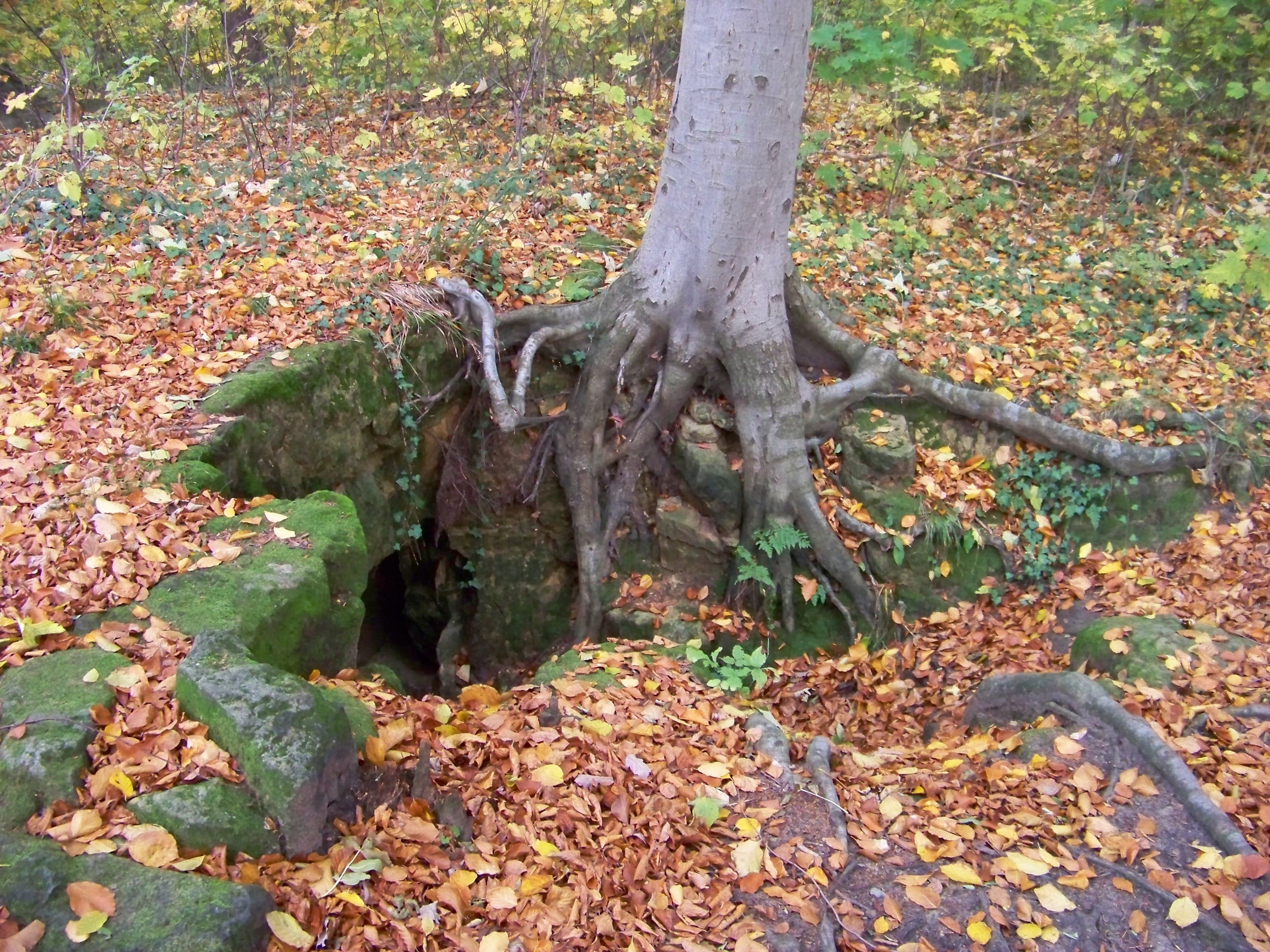 Remains of the church in Houska