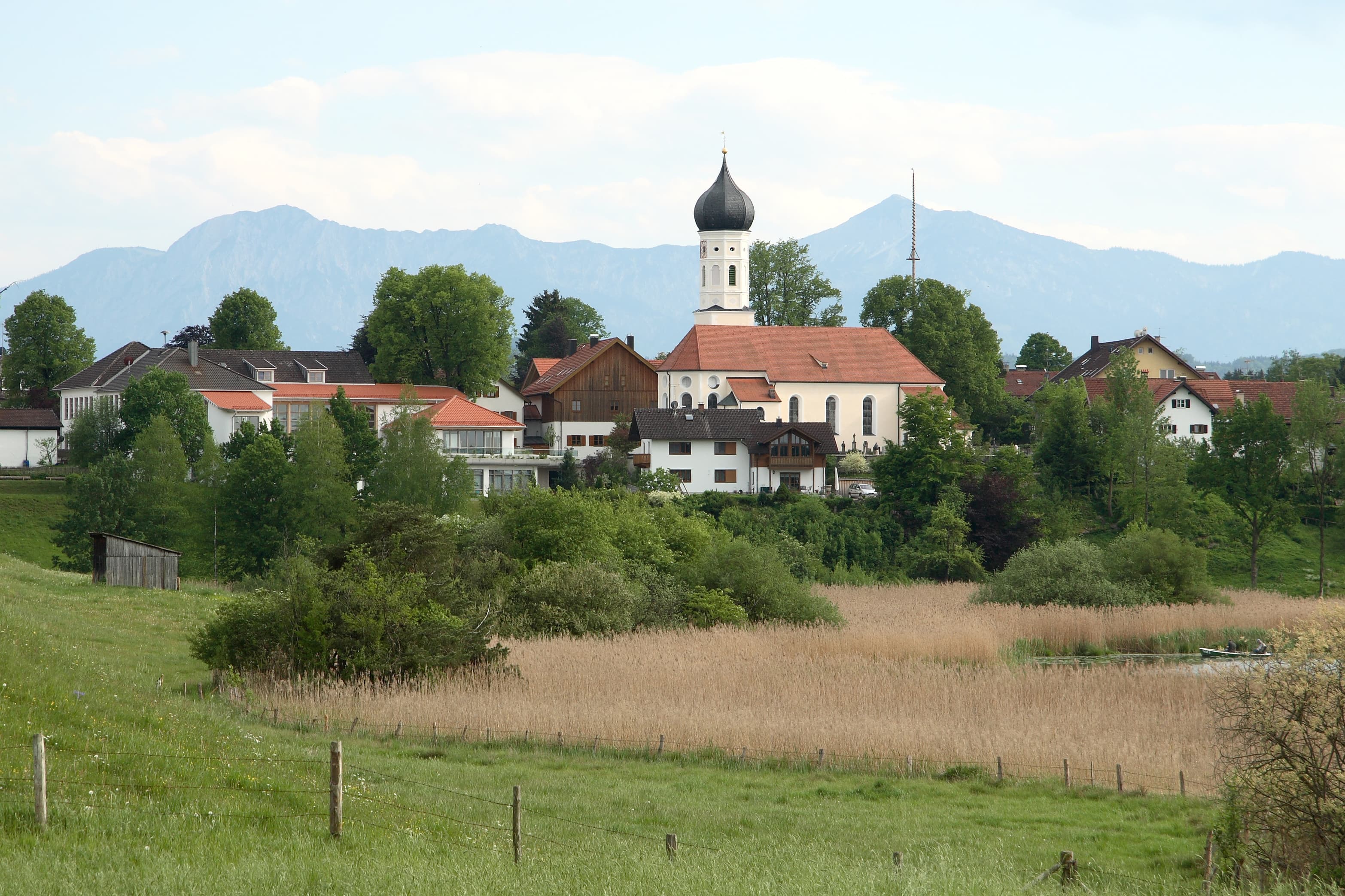 St. Vitus