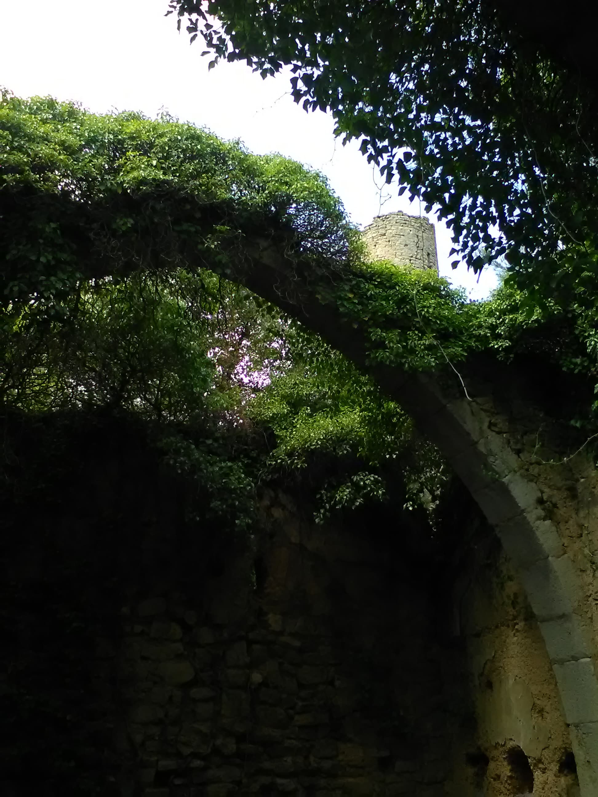 Mare de Déu de la Fullola