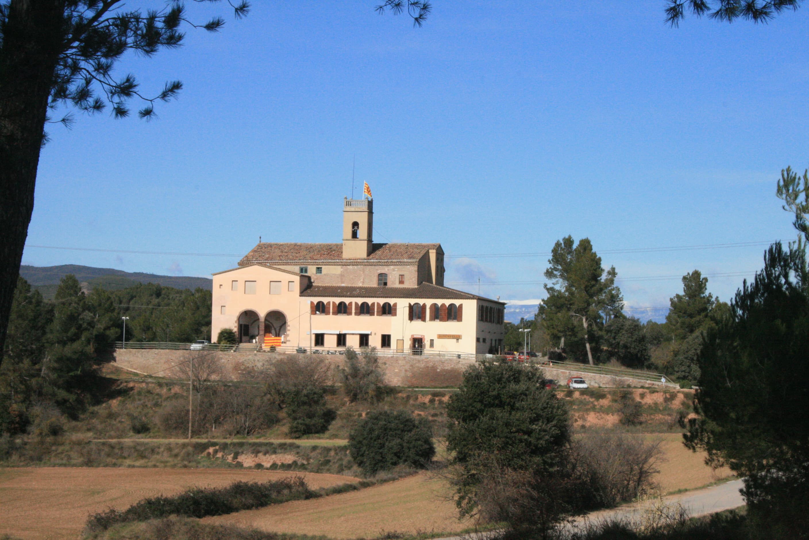 Joncadella