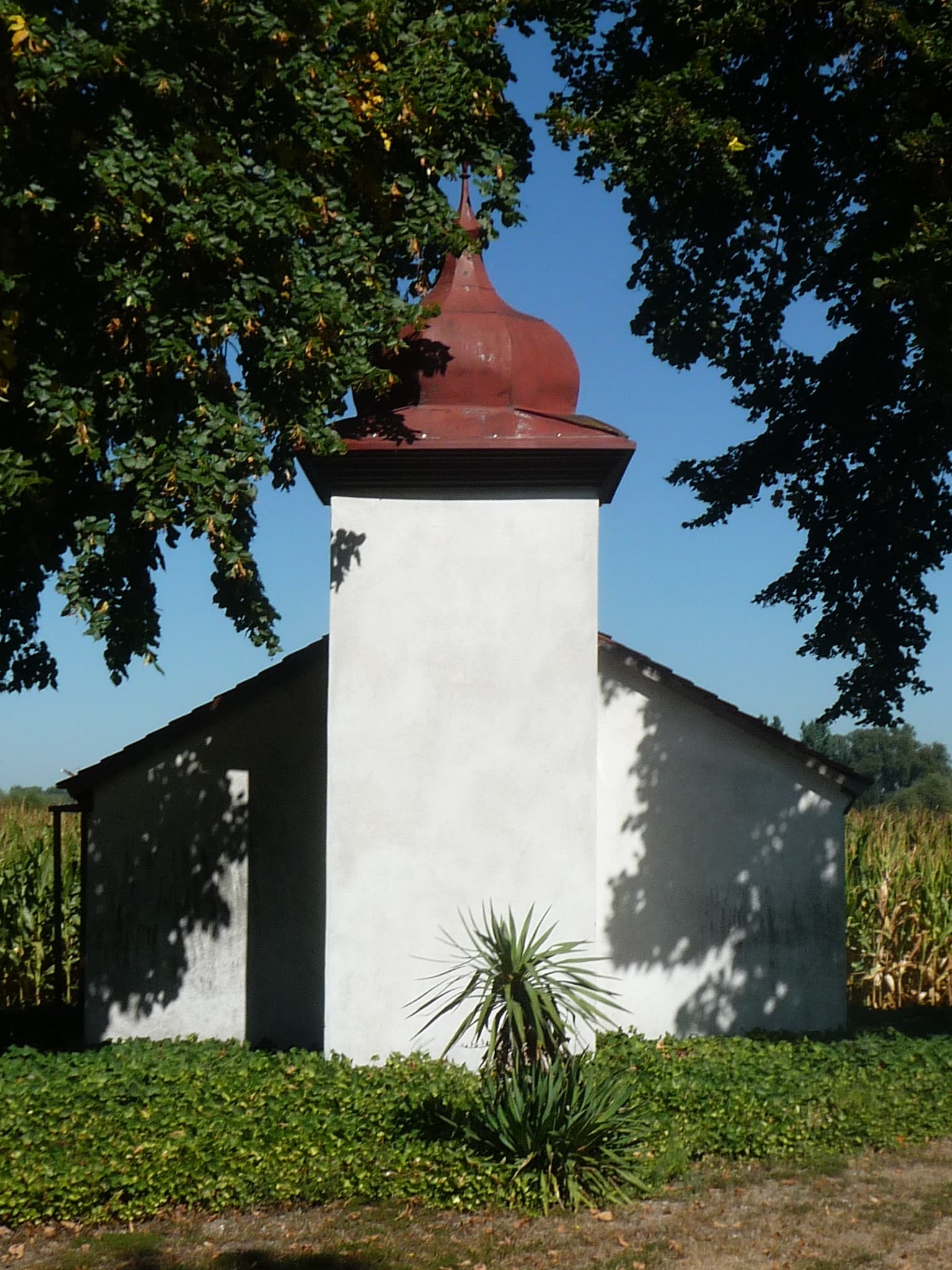 Fieberkapelle