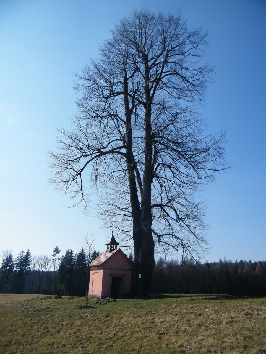 Chapel of Holy Trinity