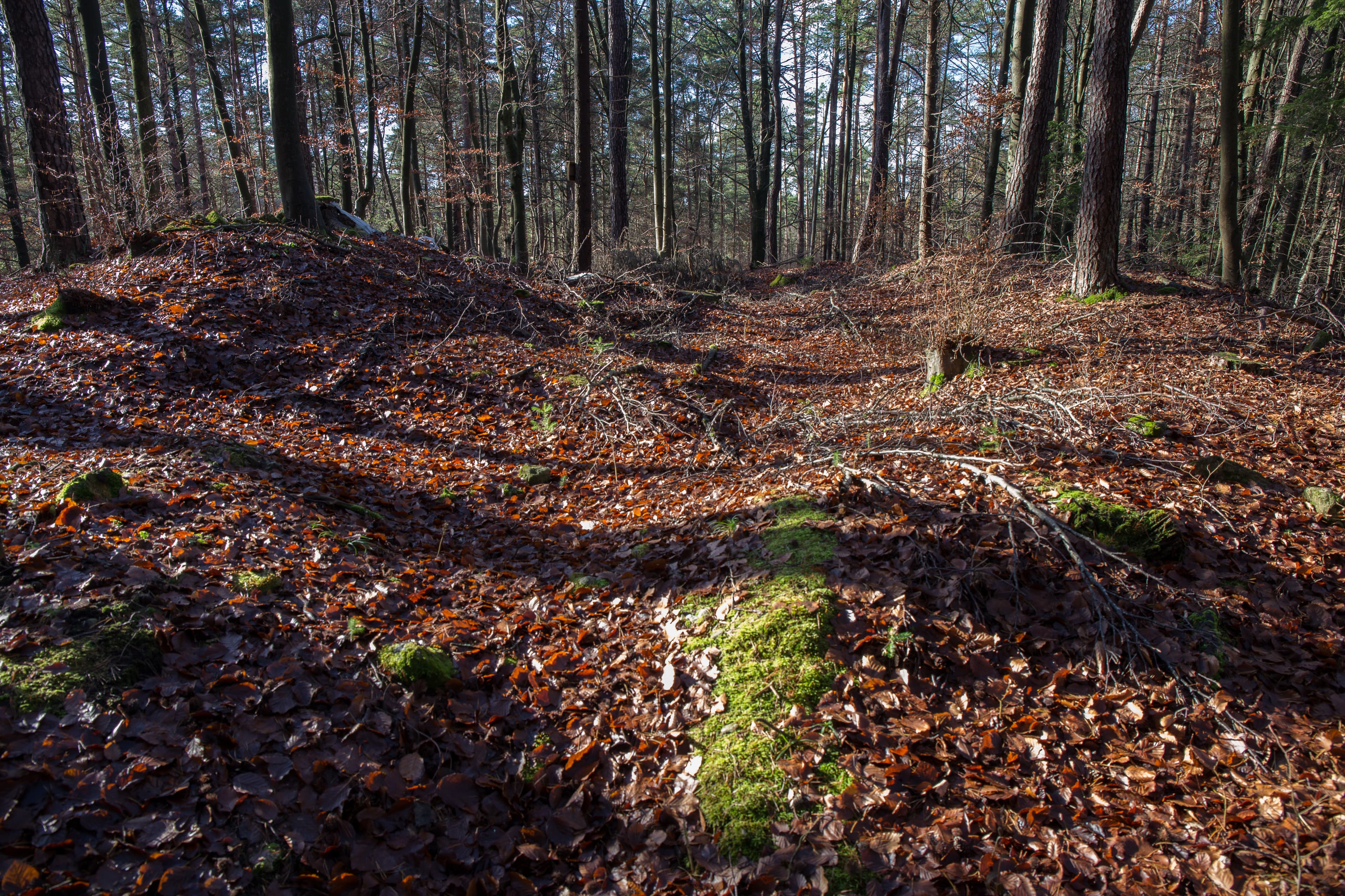 Archäologische Befunde in Hartenstein