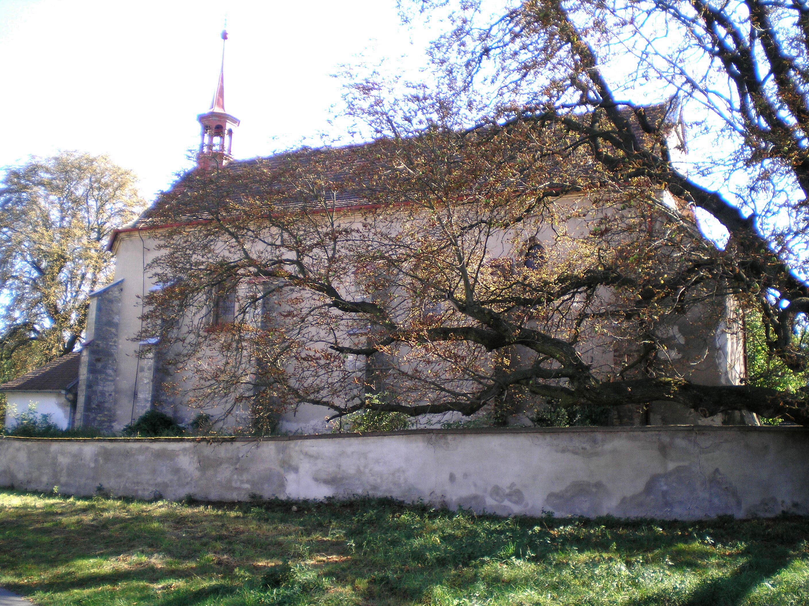 Church of Saint Wenceslaus