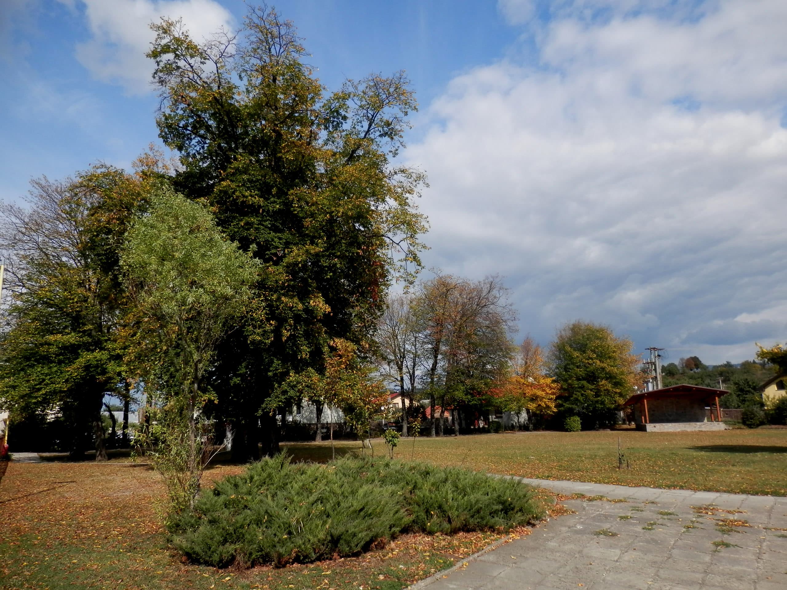 Park