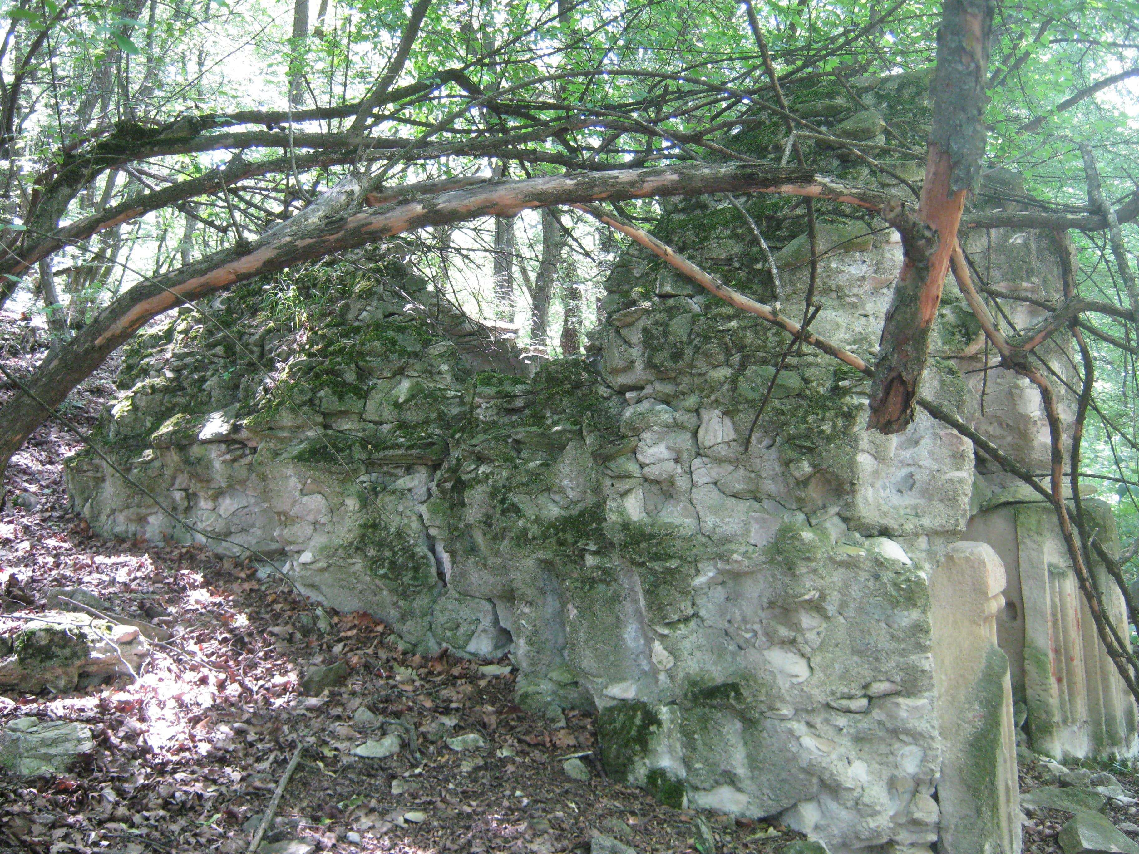 Mshkavank chapel