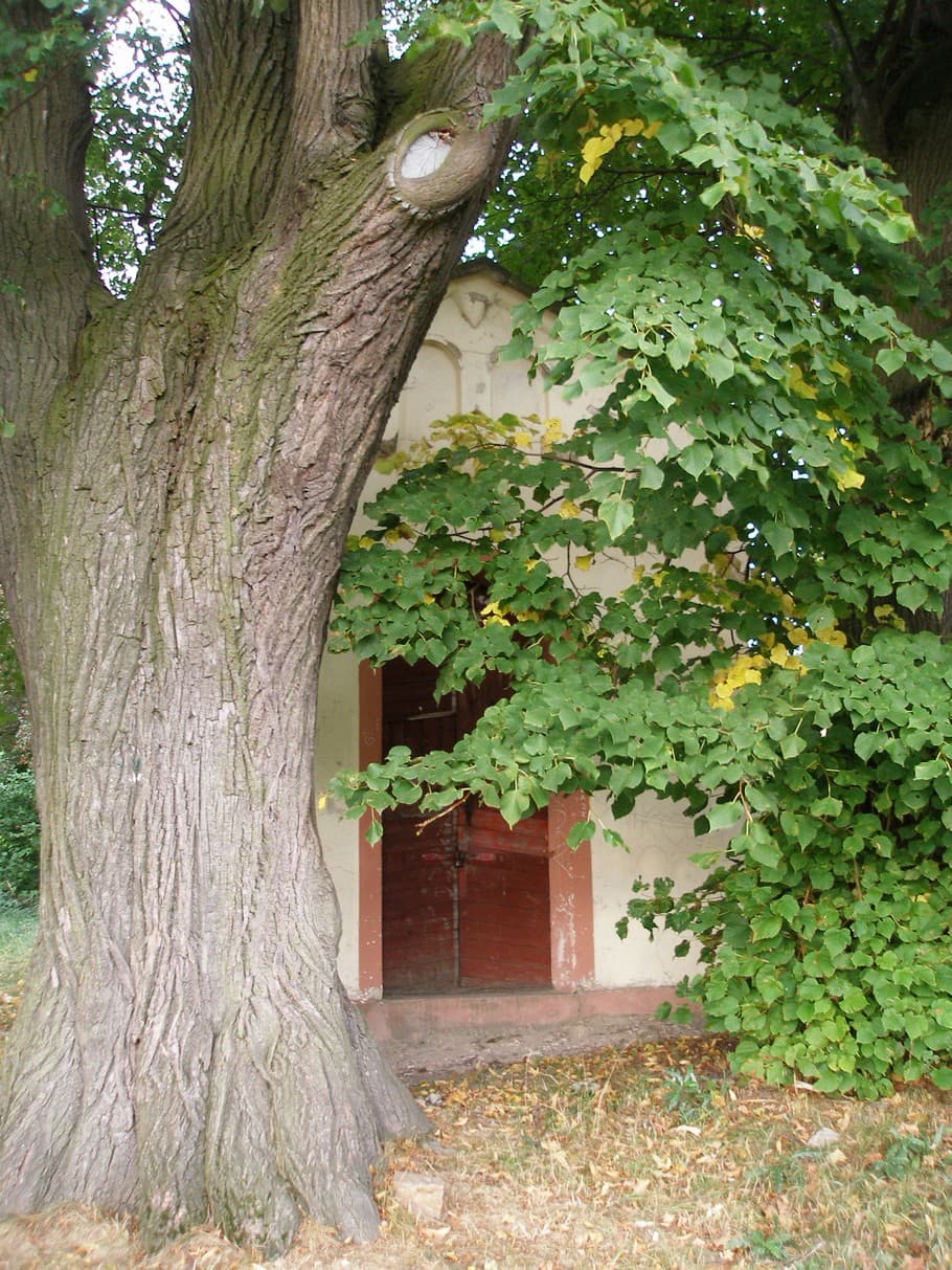 Chapel of Virgin Mary