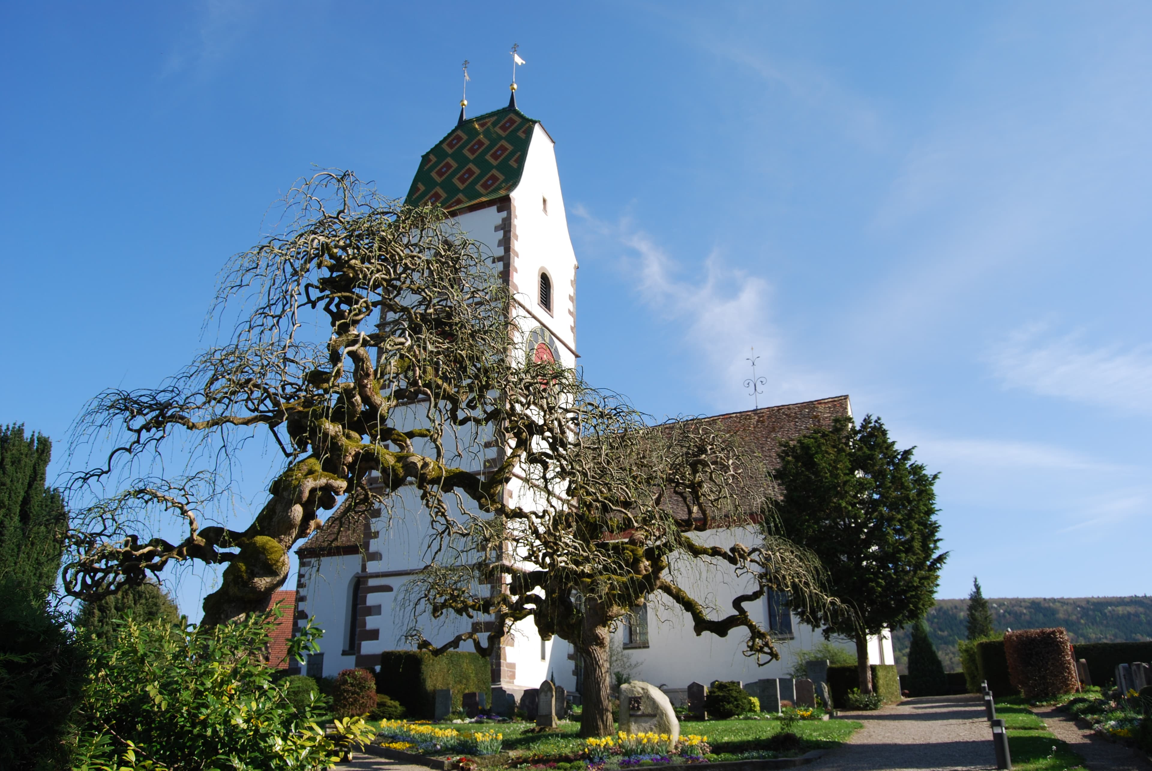 Reformed Mountain Church