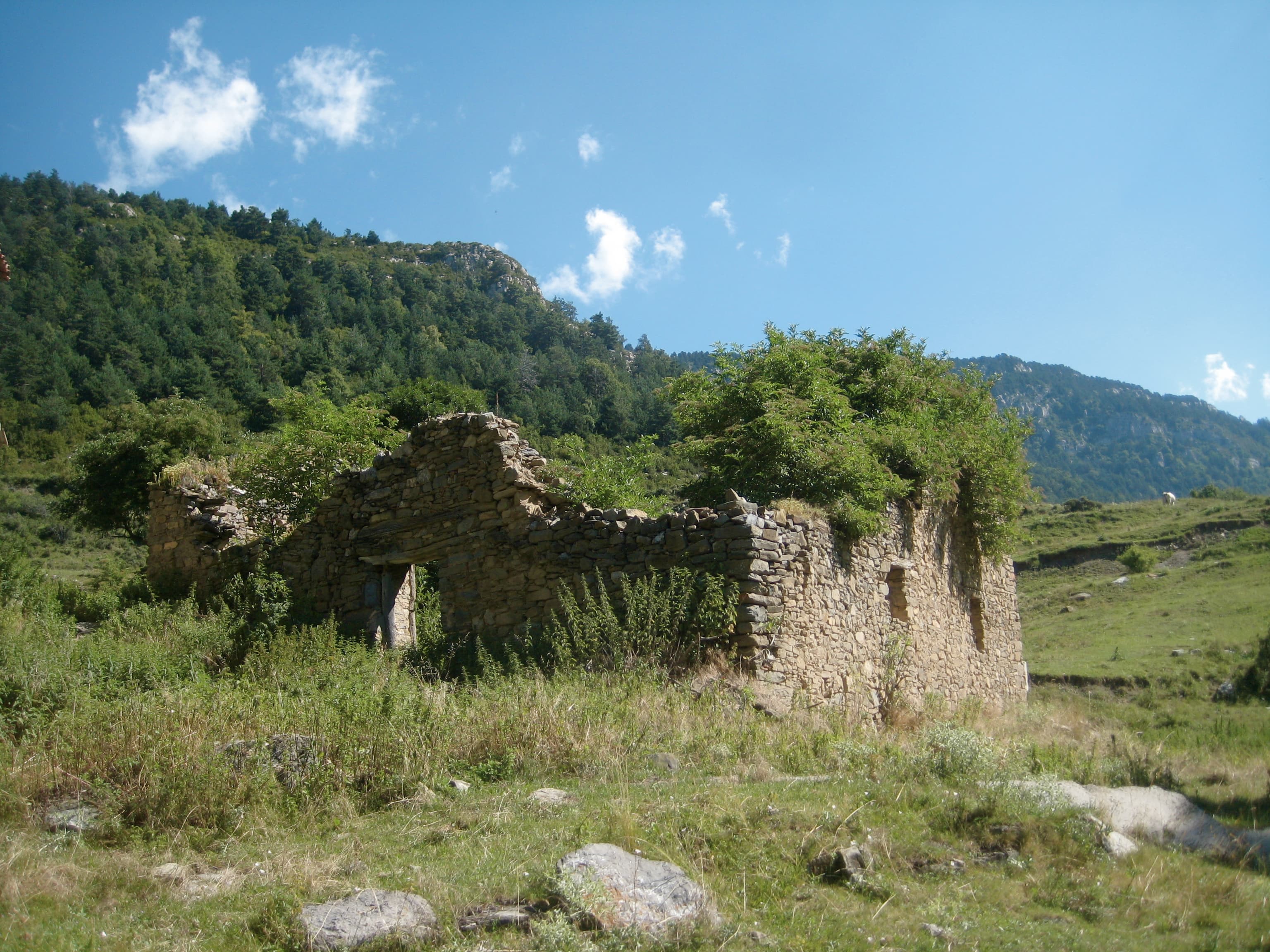 Església de Sant Julià de Saltor
