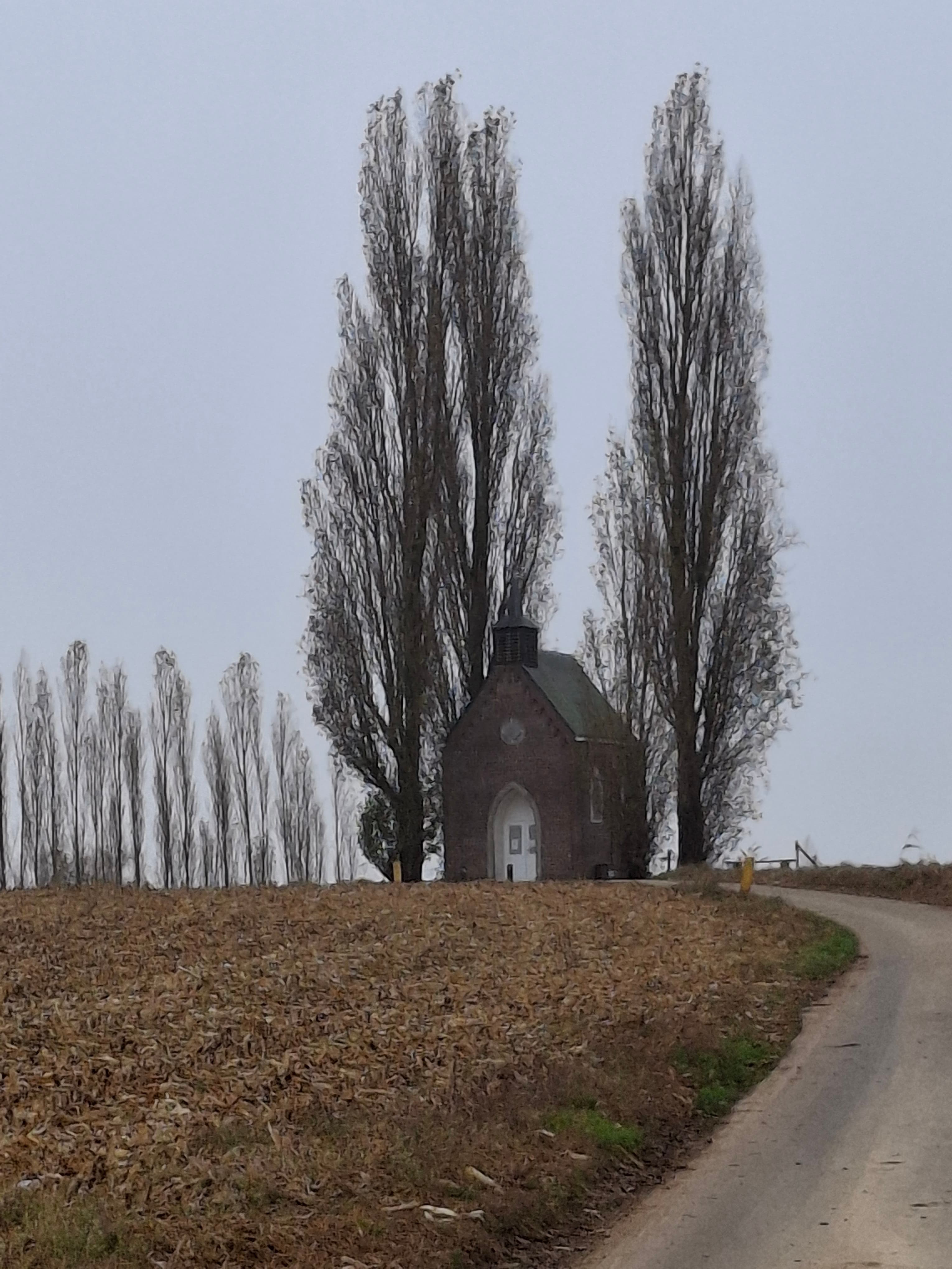 Onze-Lieve-Vrouw van Lourdeskapel (Nederhasselt)