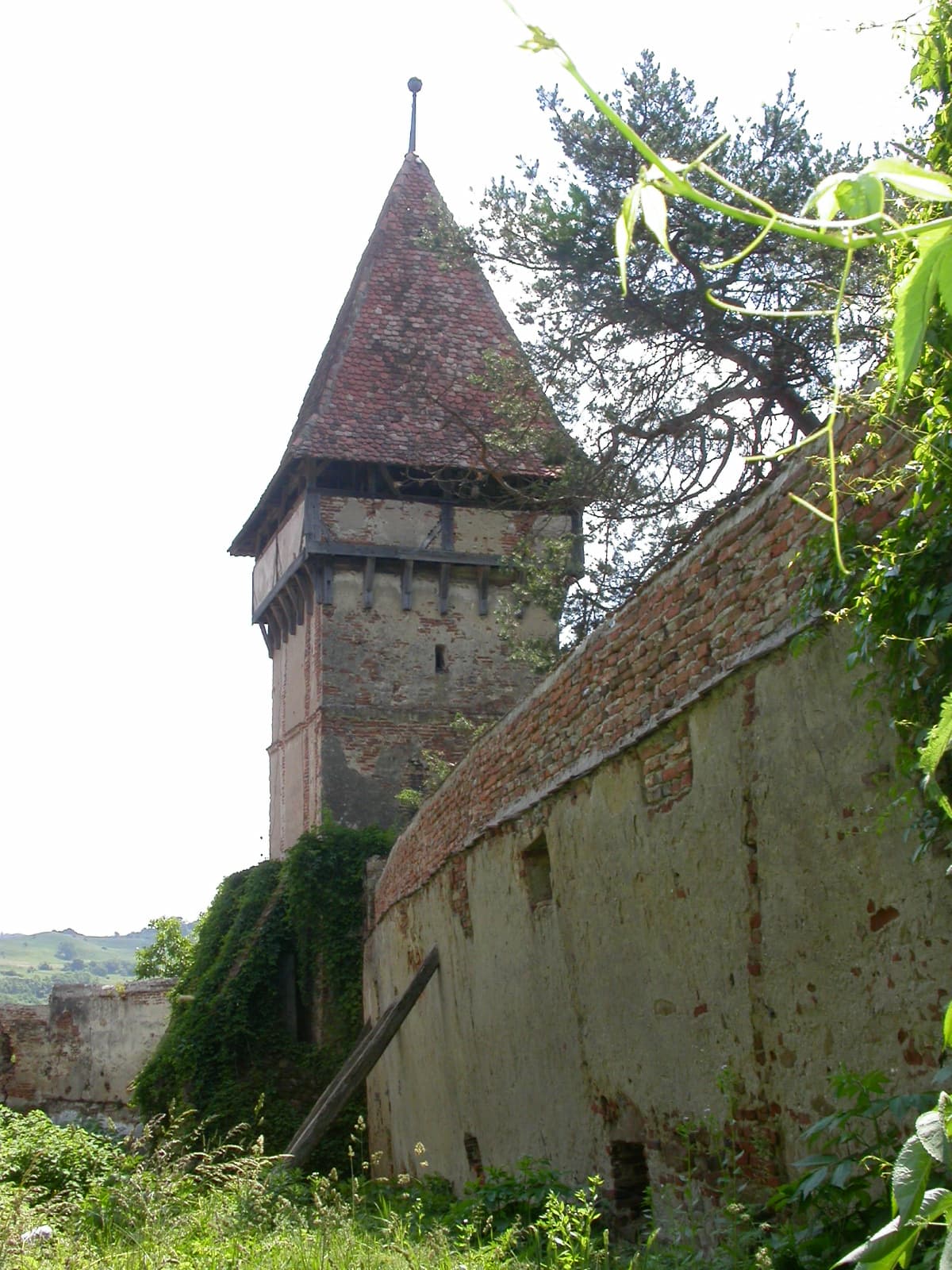 Fortified church in Pelișor, Sibiu