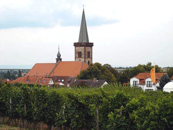 Simultaneous church of the Assumption of Mary, Pfeddersheim