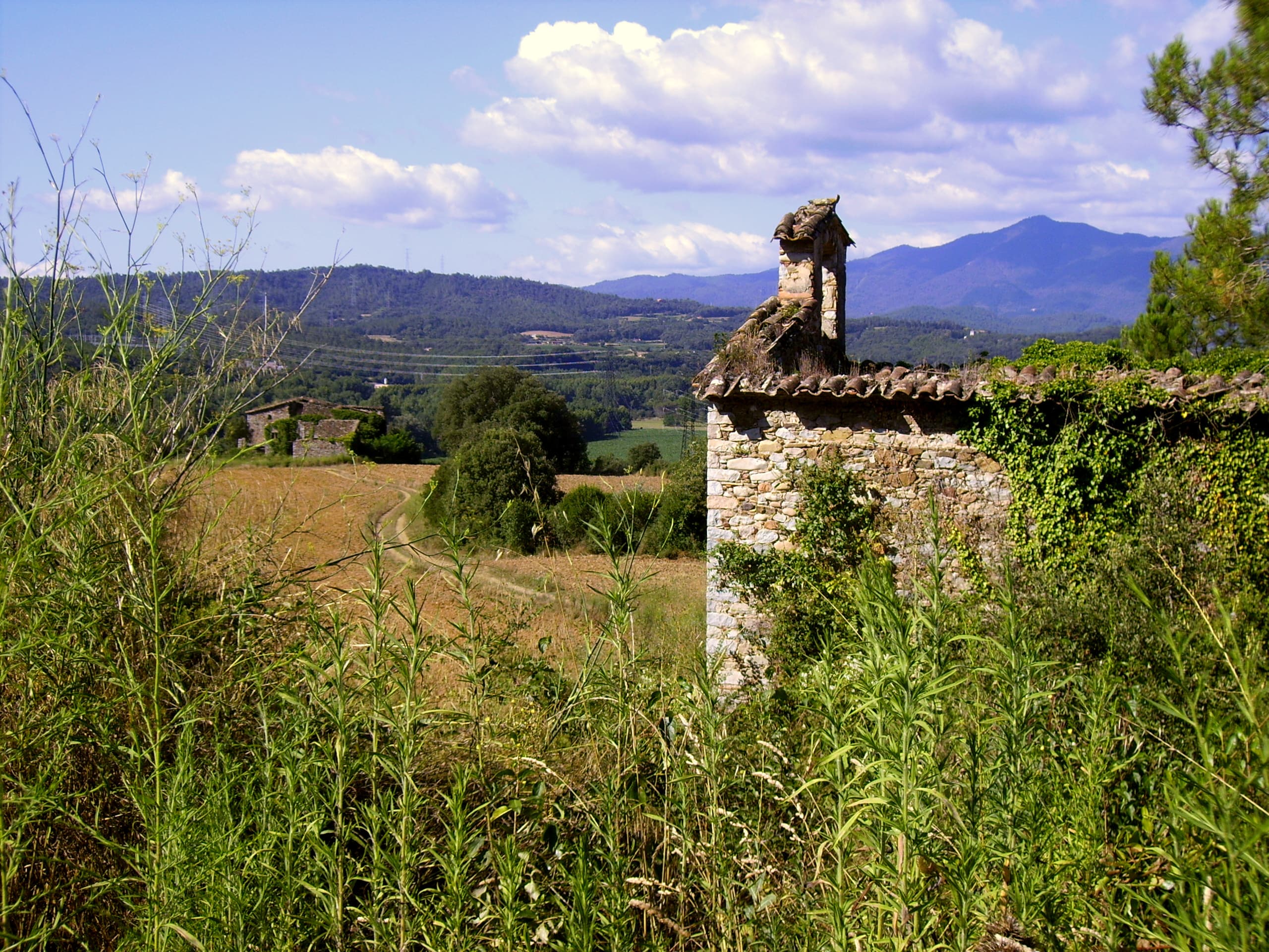 Mare de Déu de la Pietat (Sant Gregori)