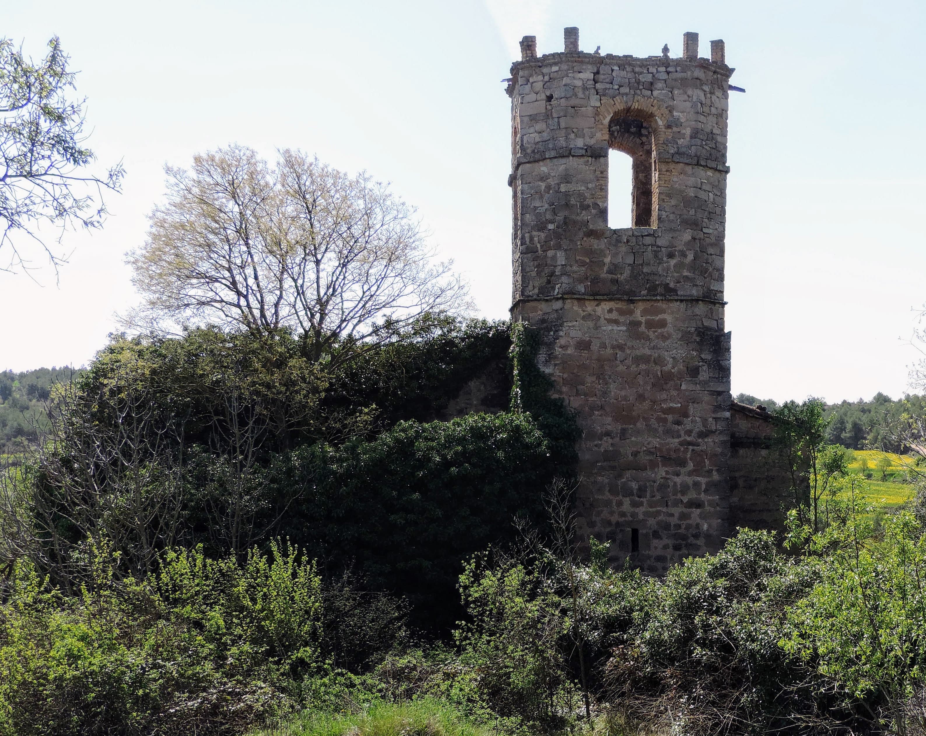 Sant Martí d'Albarells