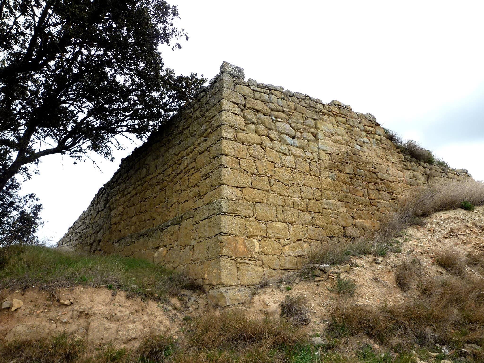 Santa Maria de Peracamps