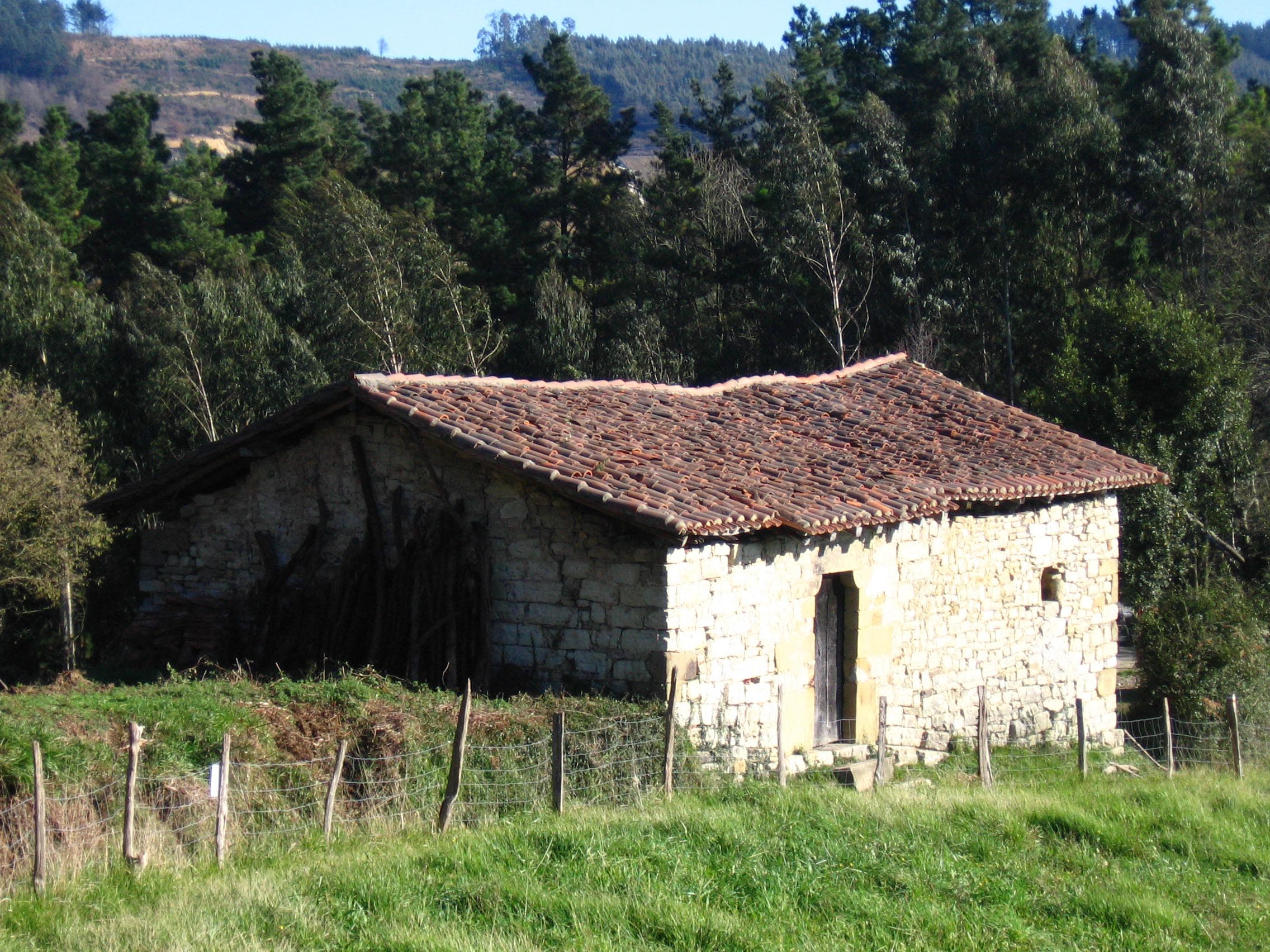 San Salbador Baseliza