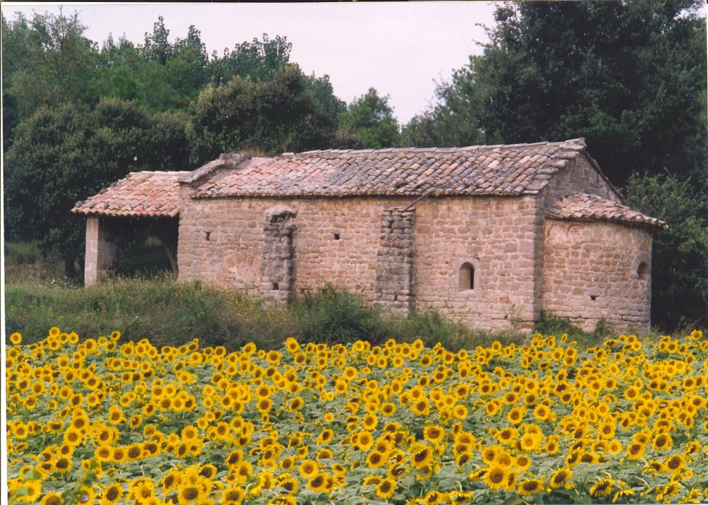 Sant Marçal de Puig-reig