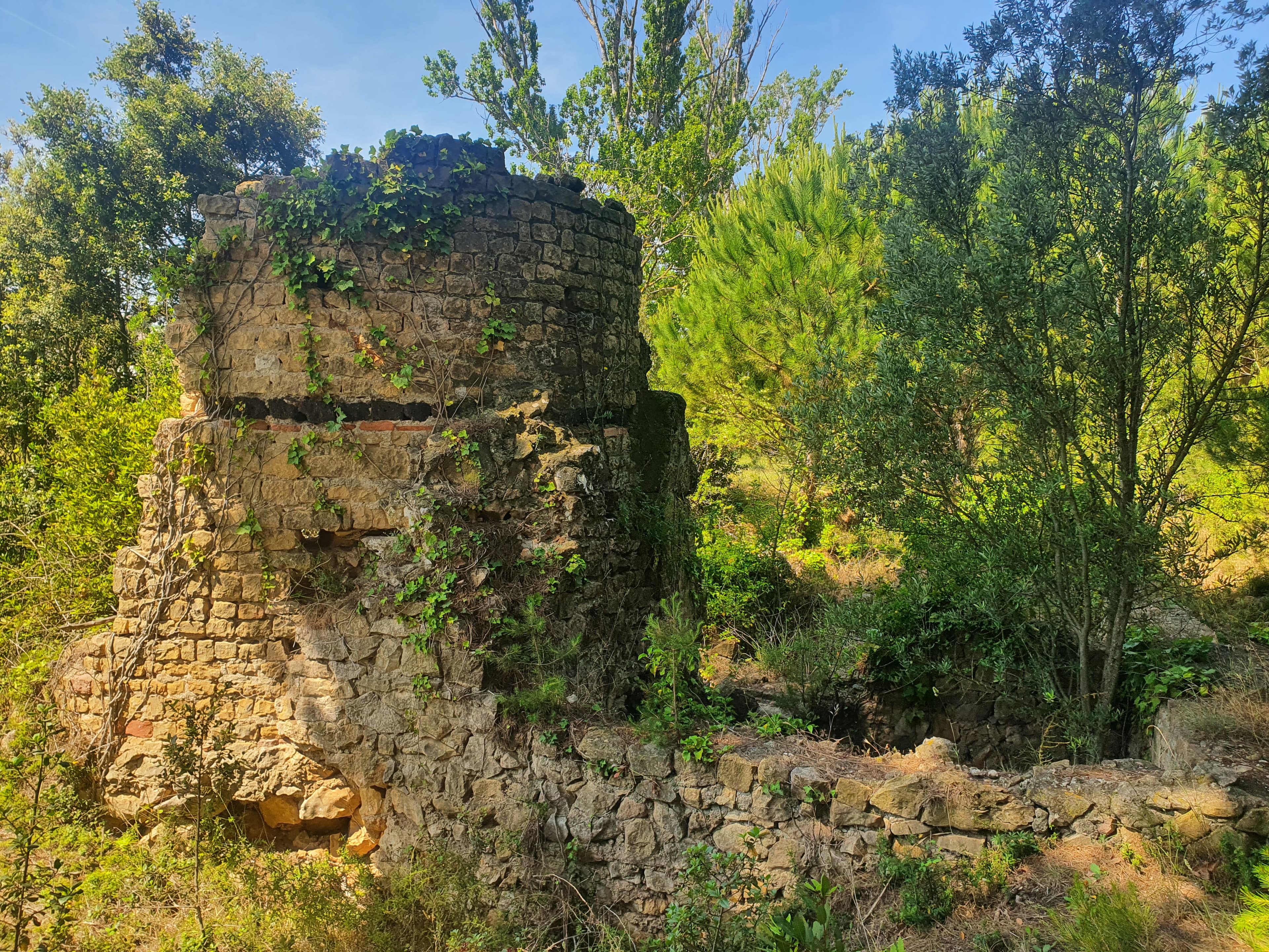 Sant Vicenç de les Corts