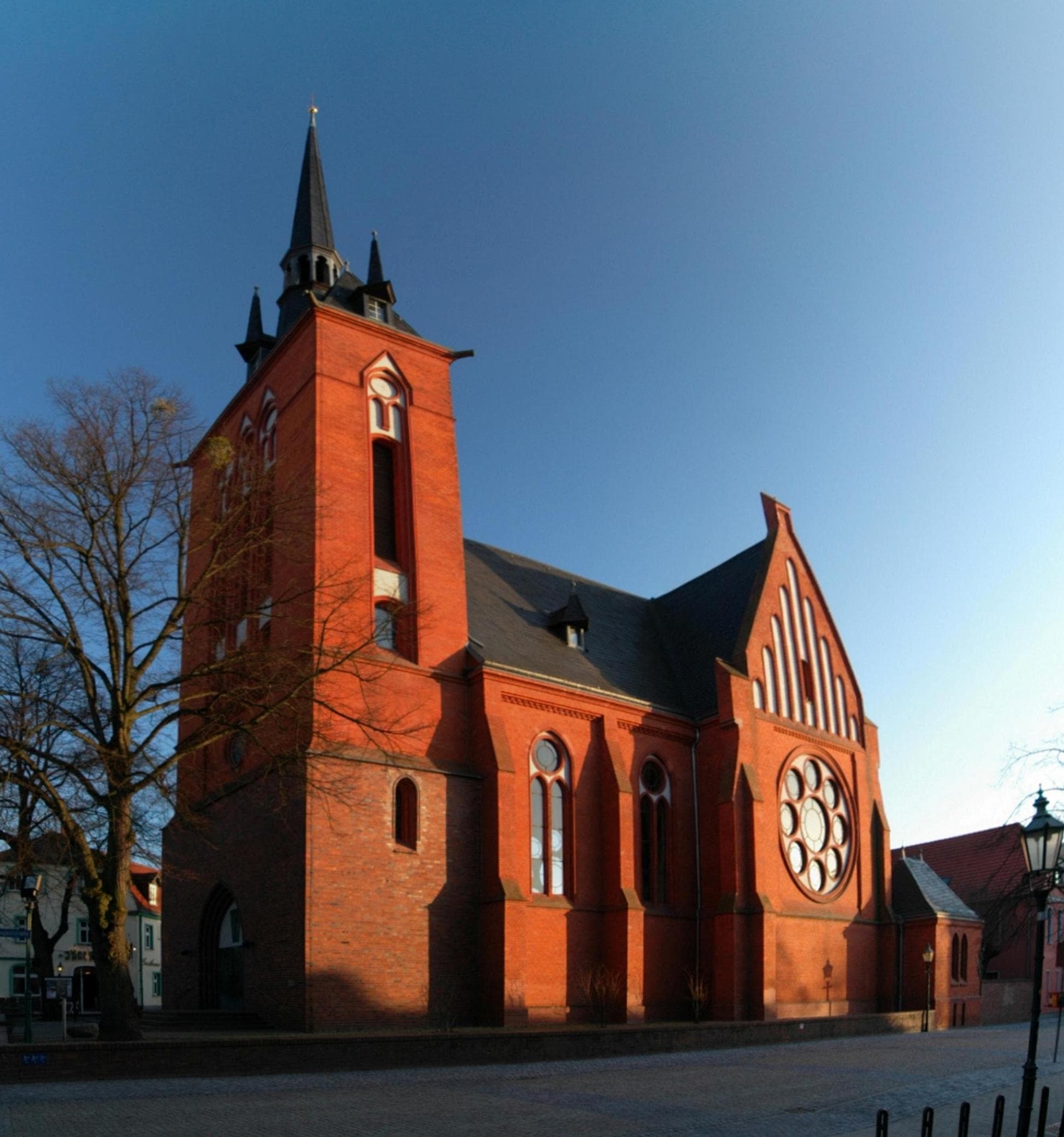 Church of the Assumption of Mary (Schwedt/Oder)