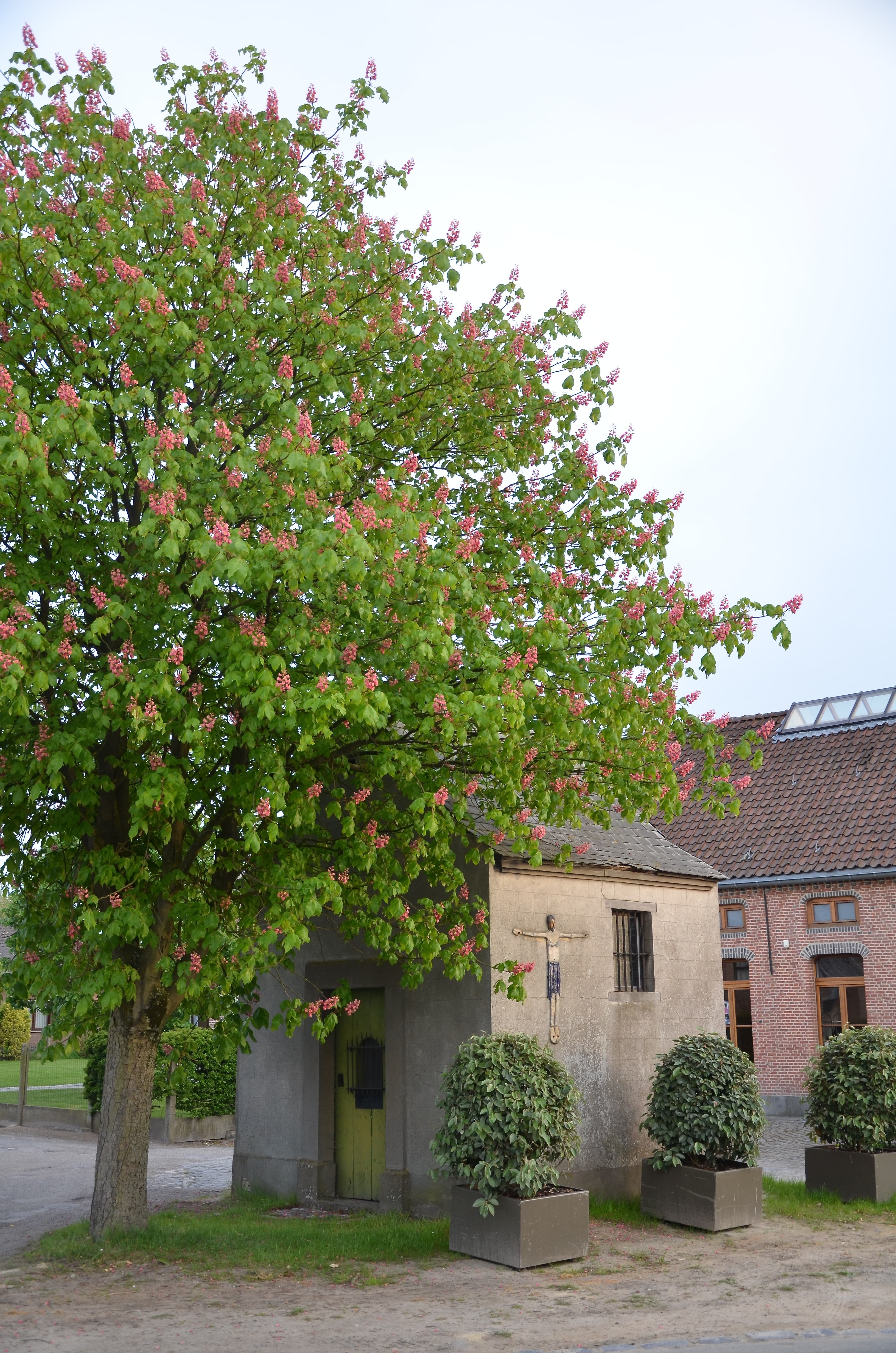 Sint-Jozefkapel (Leest)