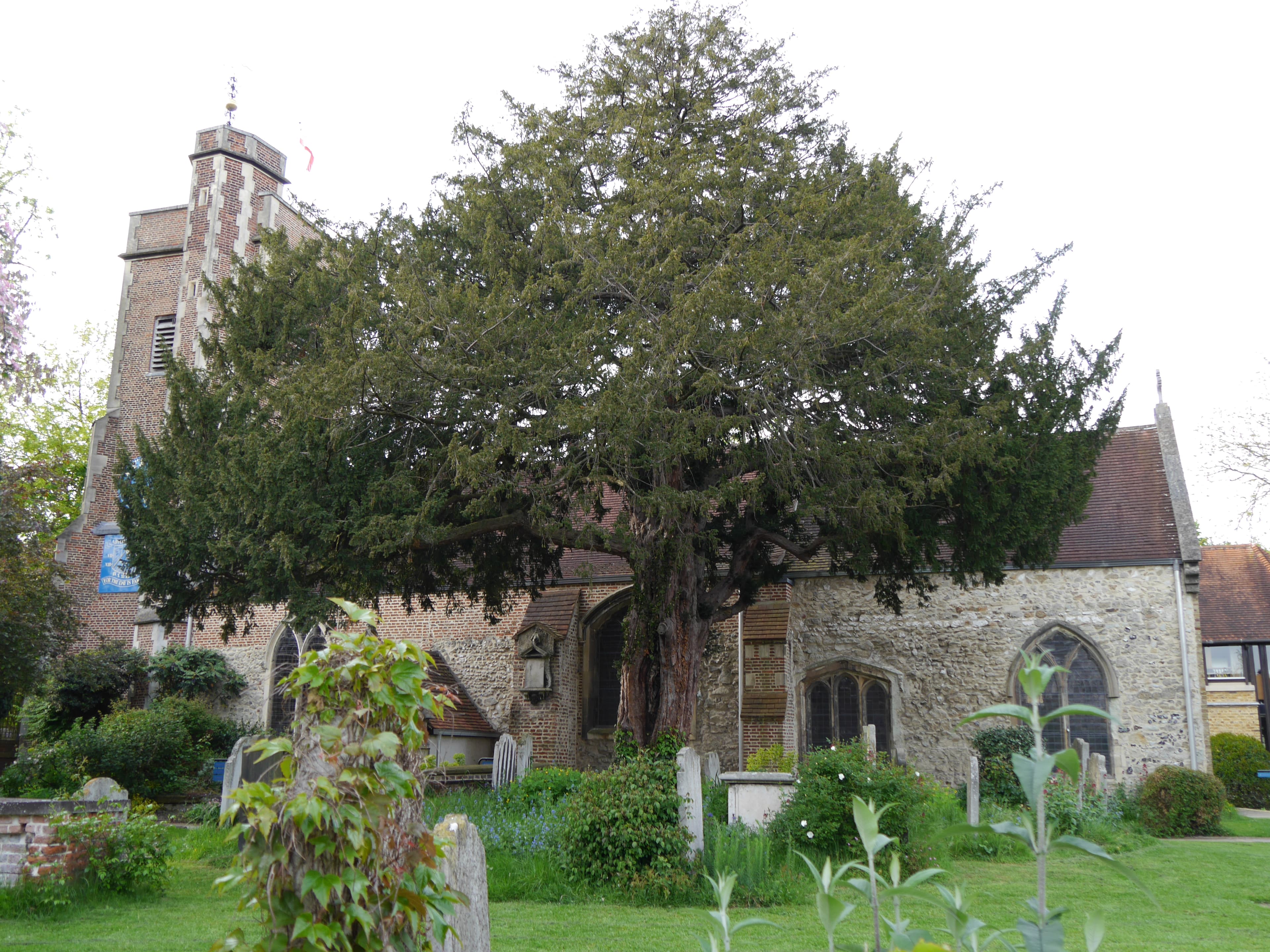 St Mary's Church, Barnes
