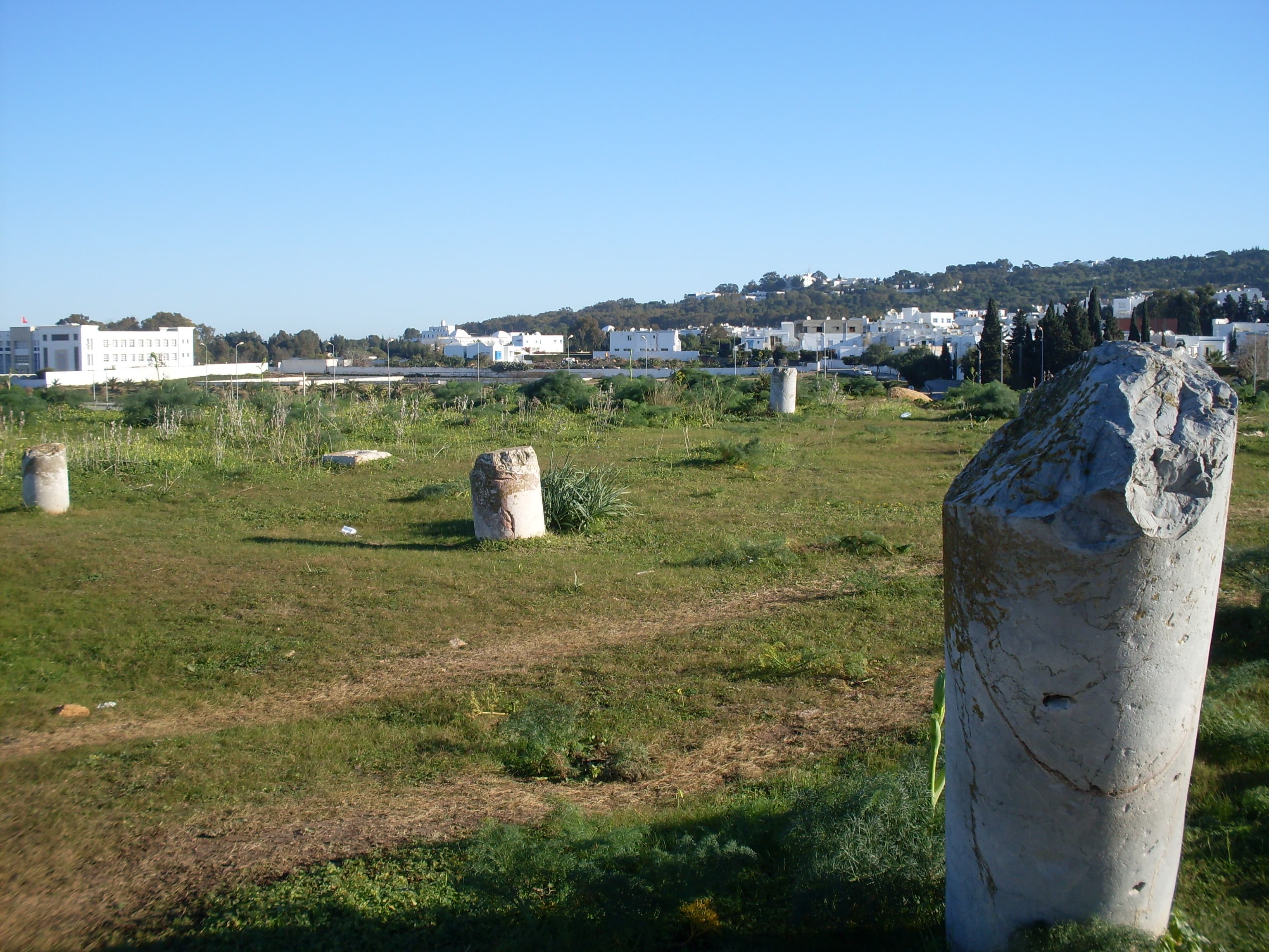 Basilica Majorum of Carthage