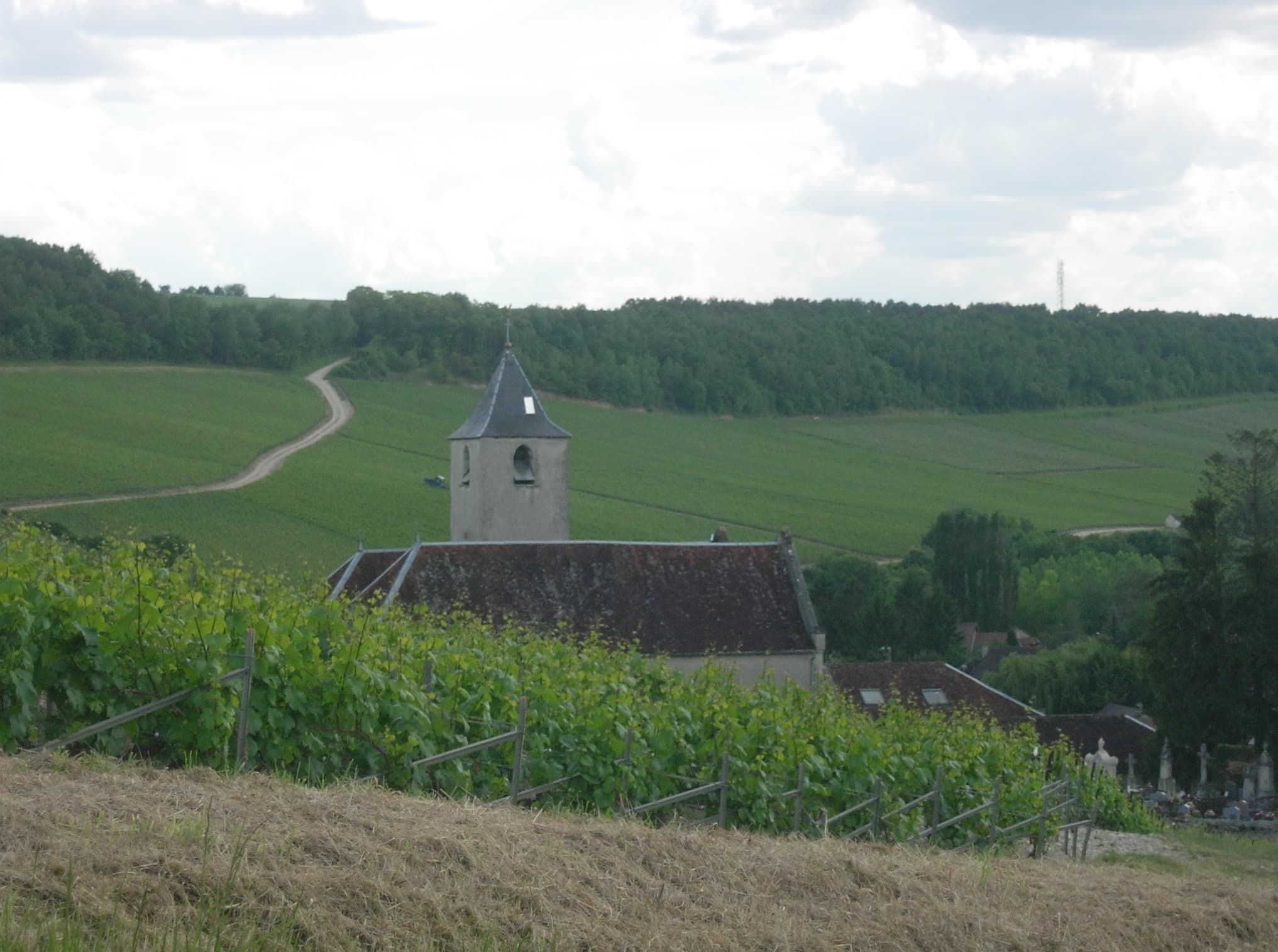 église Saint-Victor de Viviers-sur-Artaut