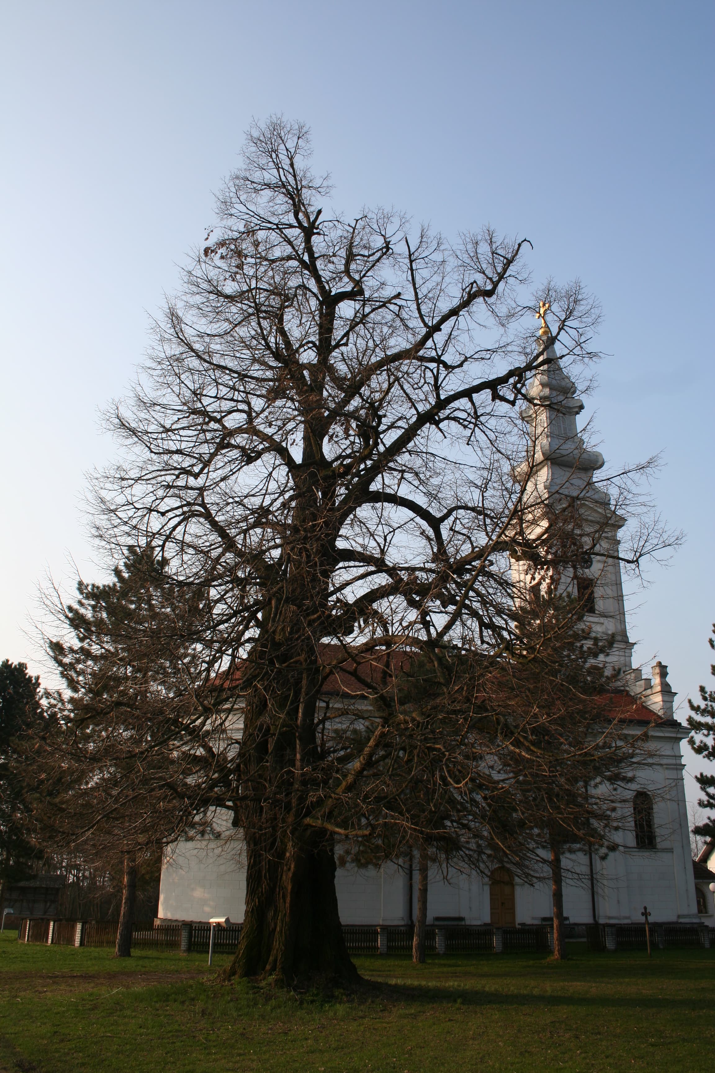 Crkva Sv. Nikole (Vrelo)