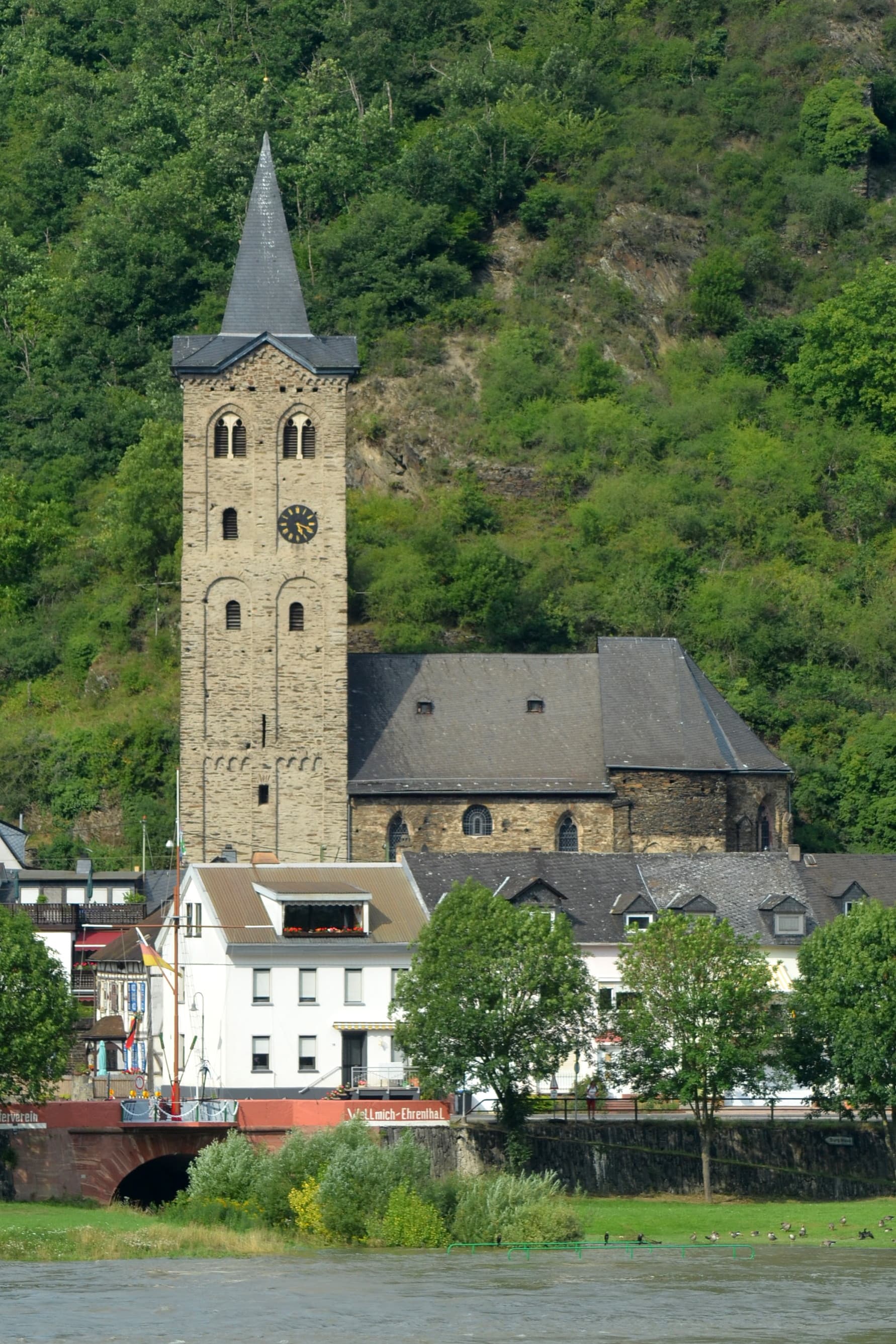 Saint Martin's Church (Wellmich)