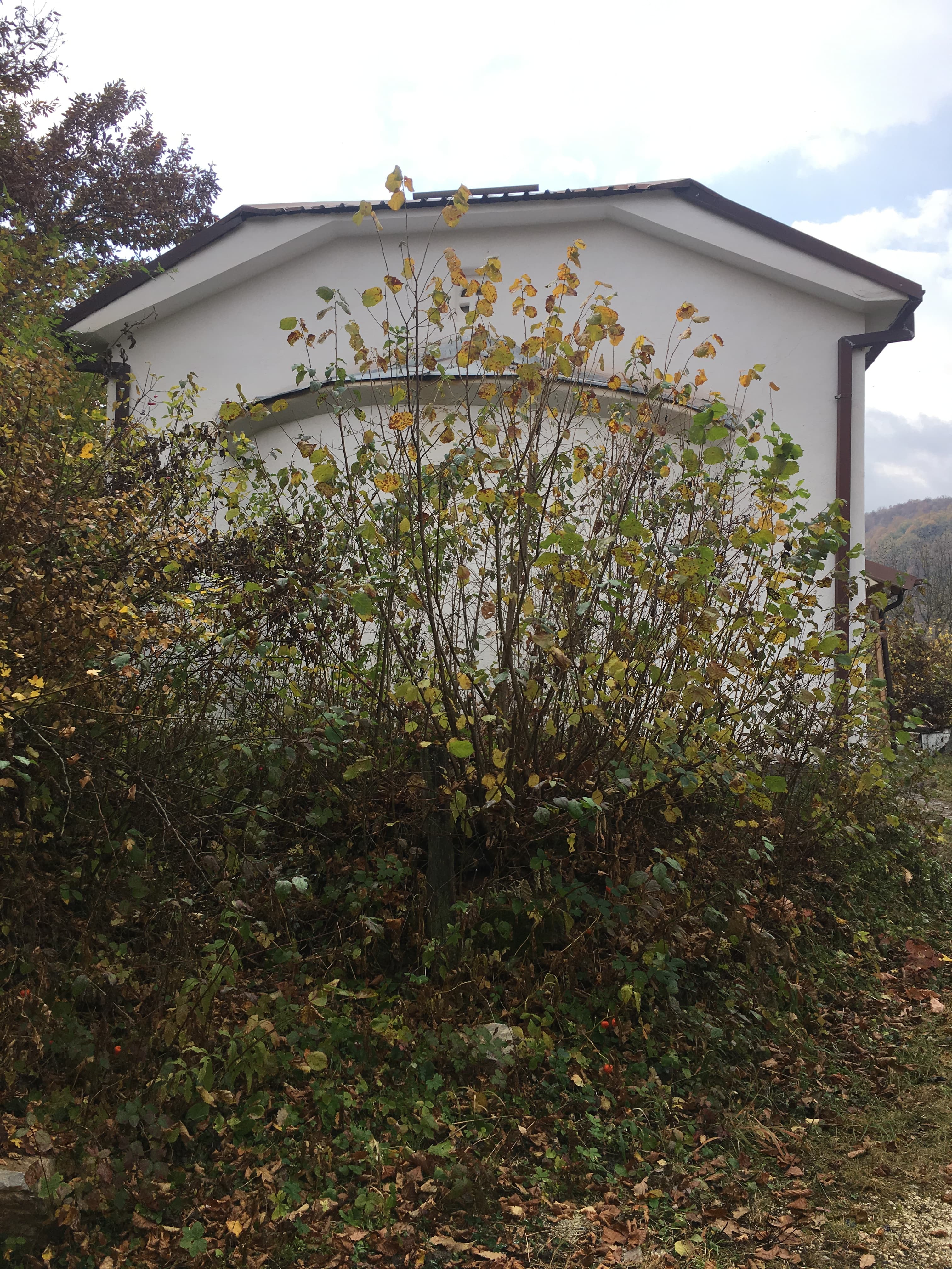 Saint Paraskeva Church, Kozica