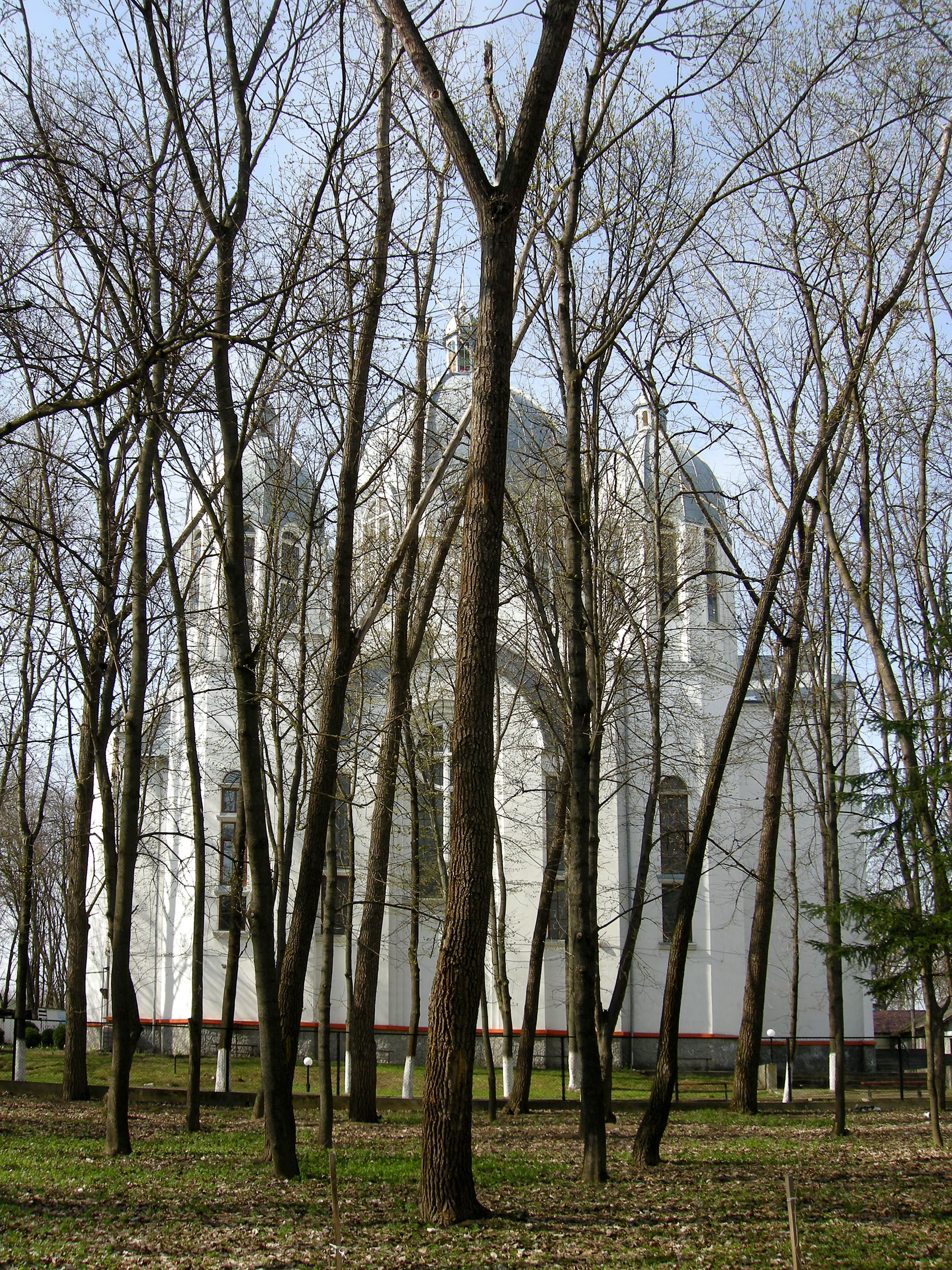 Church of the Sacred Heart of Christ